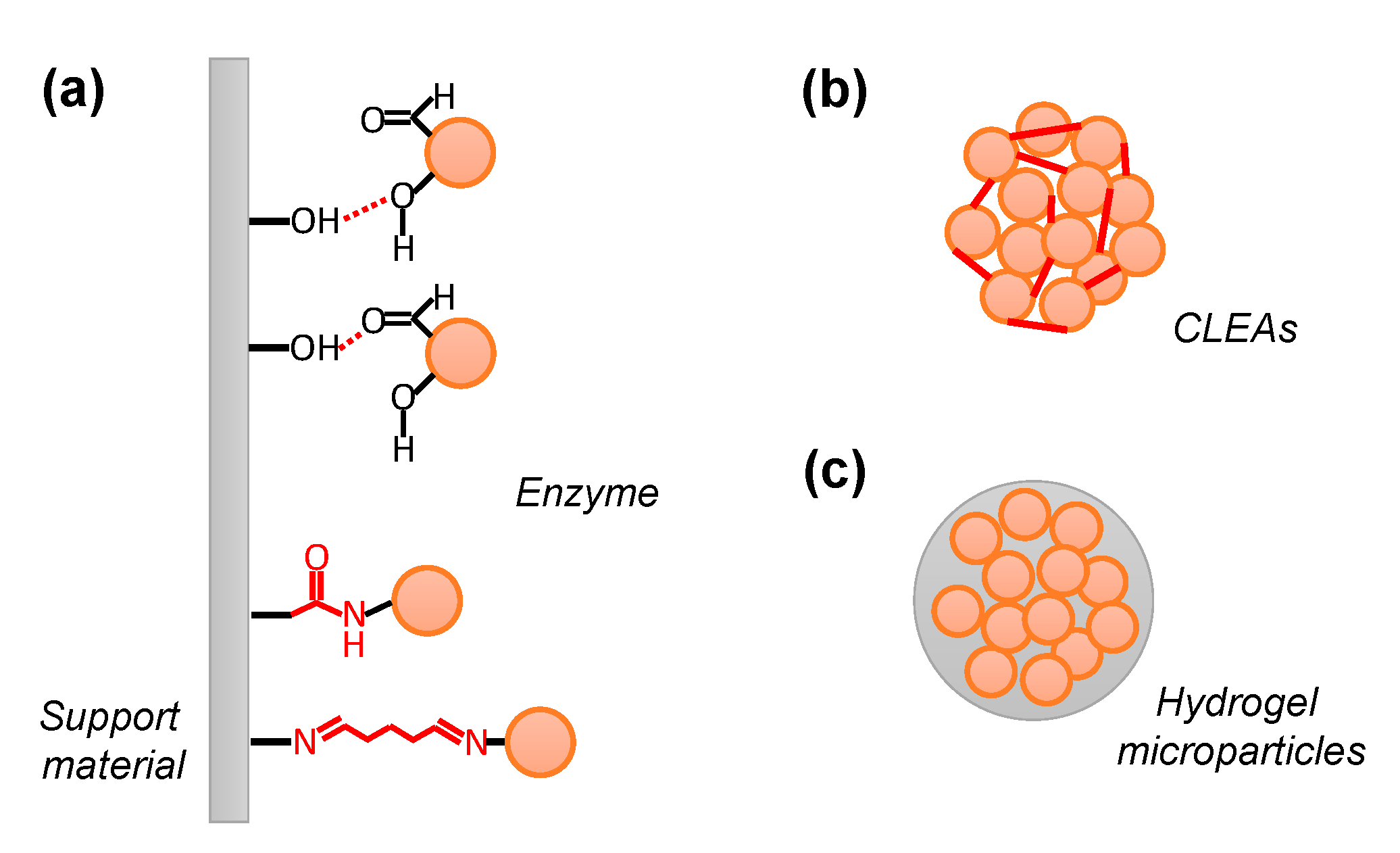 Molecules 29 02021 g001