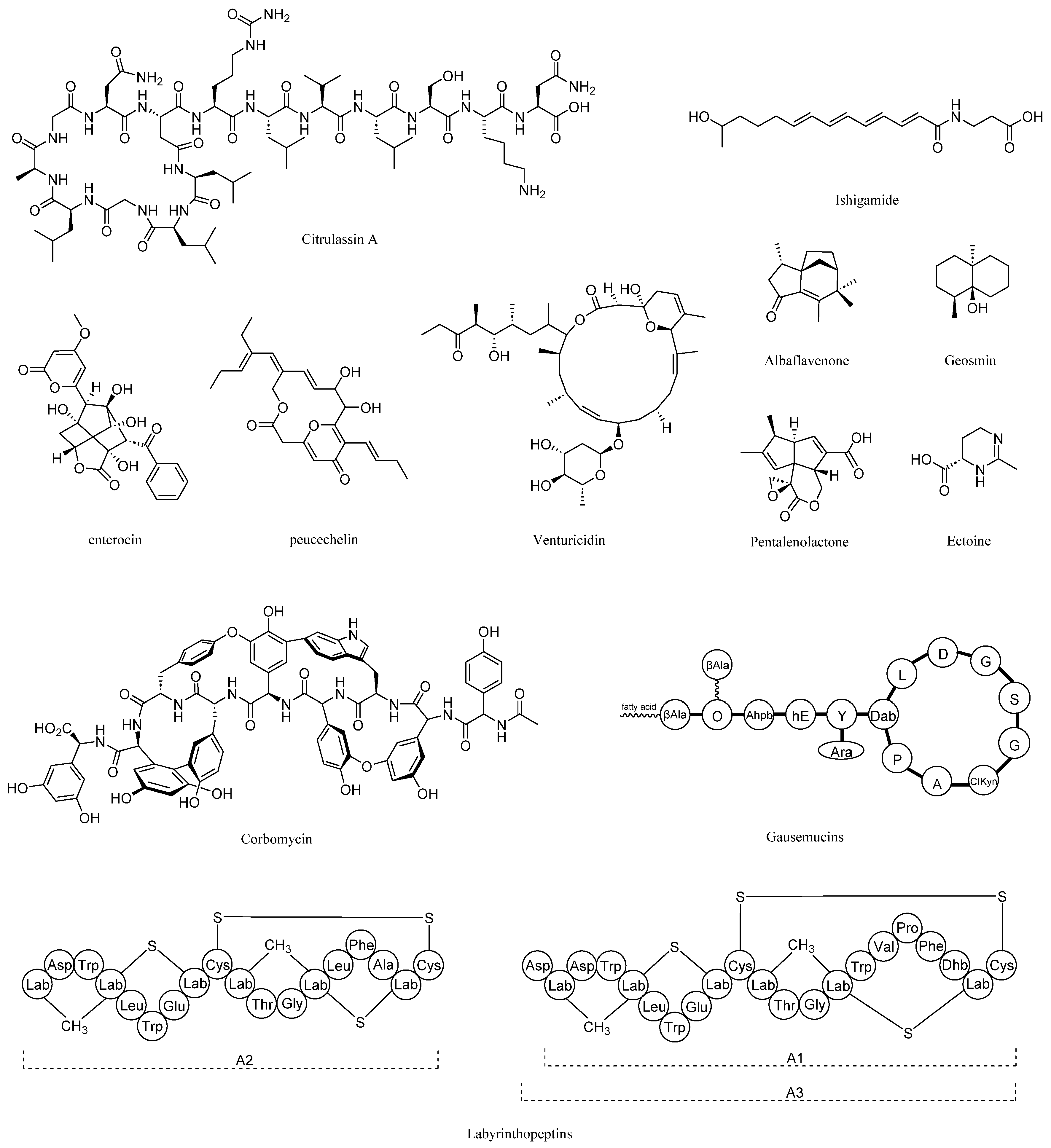 Molecules 29 02040 g003
