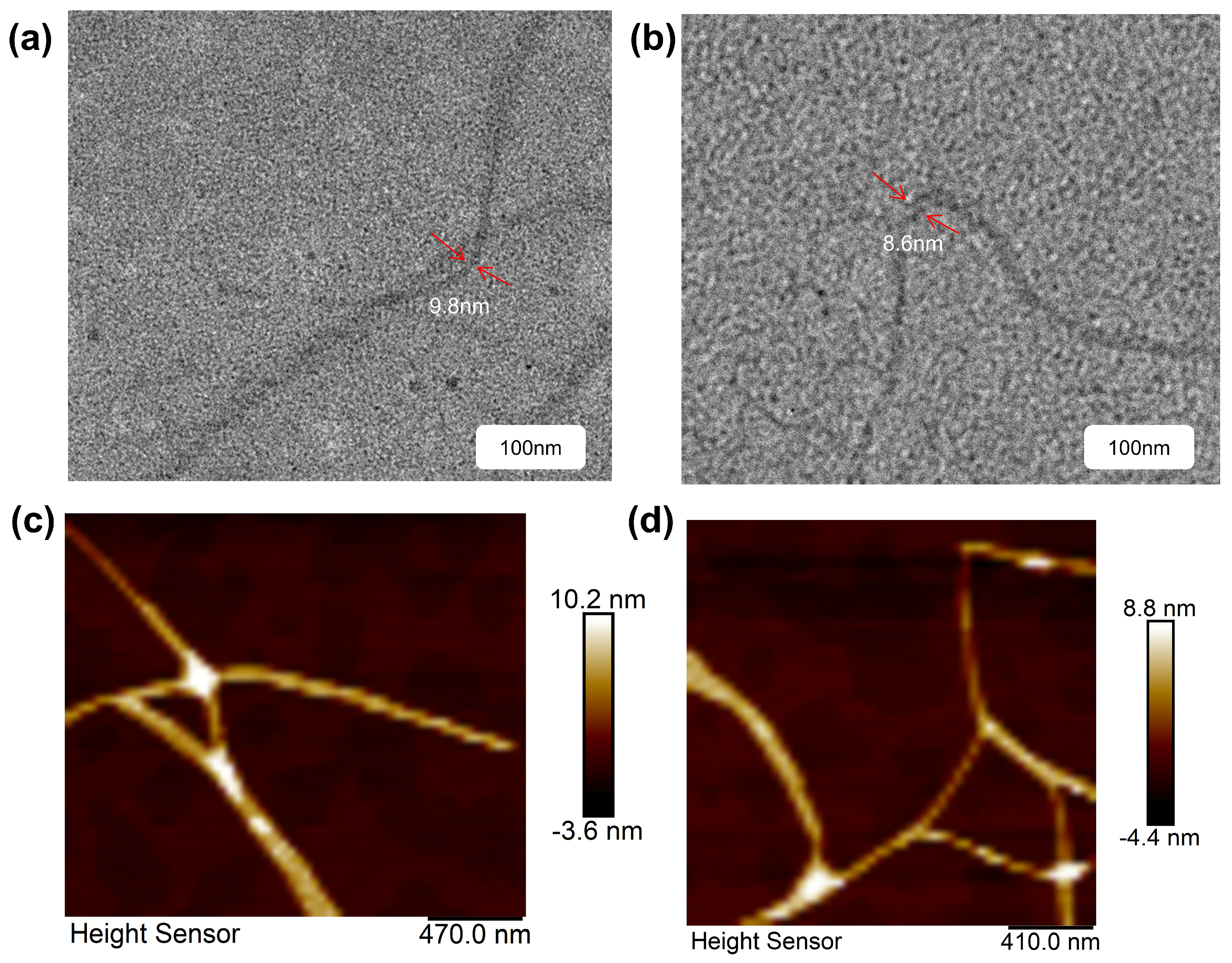 Molecules 29 02042 g006
