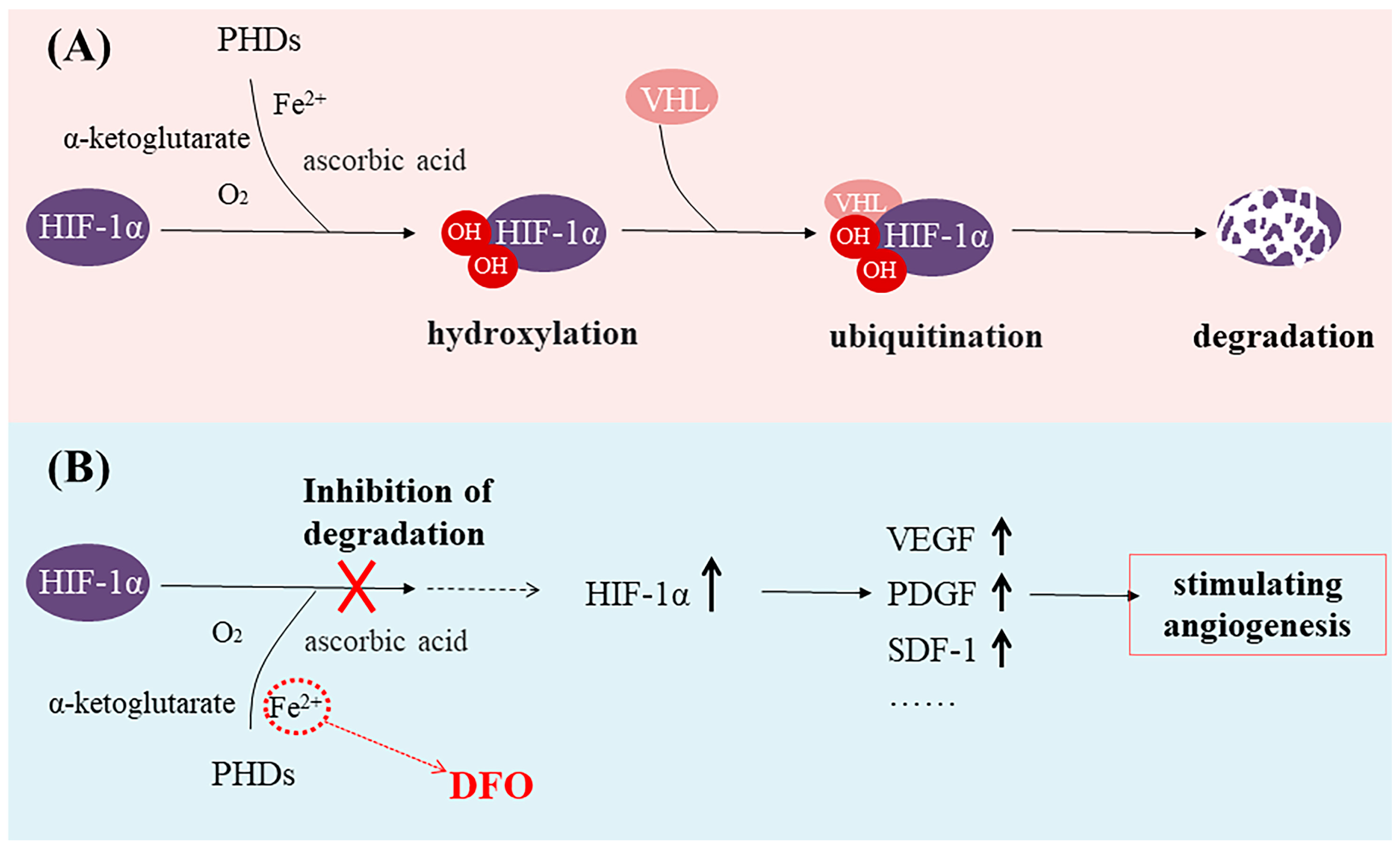 Molecules 29 02050 g001
