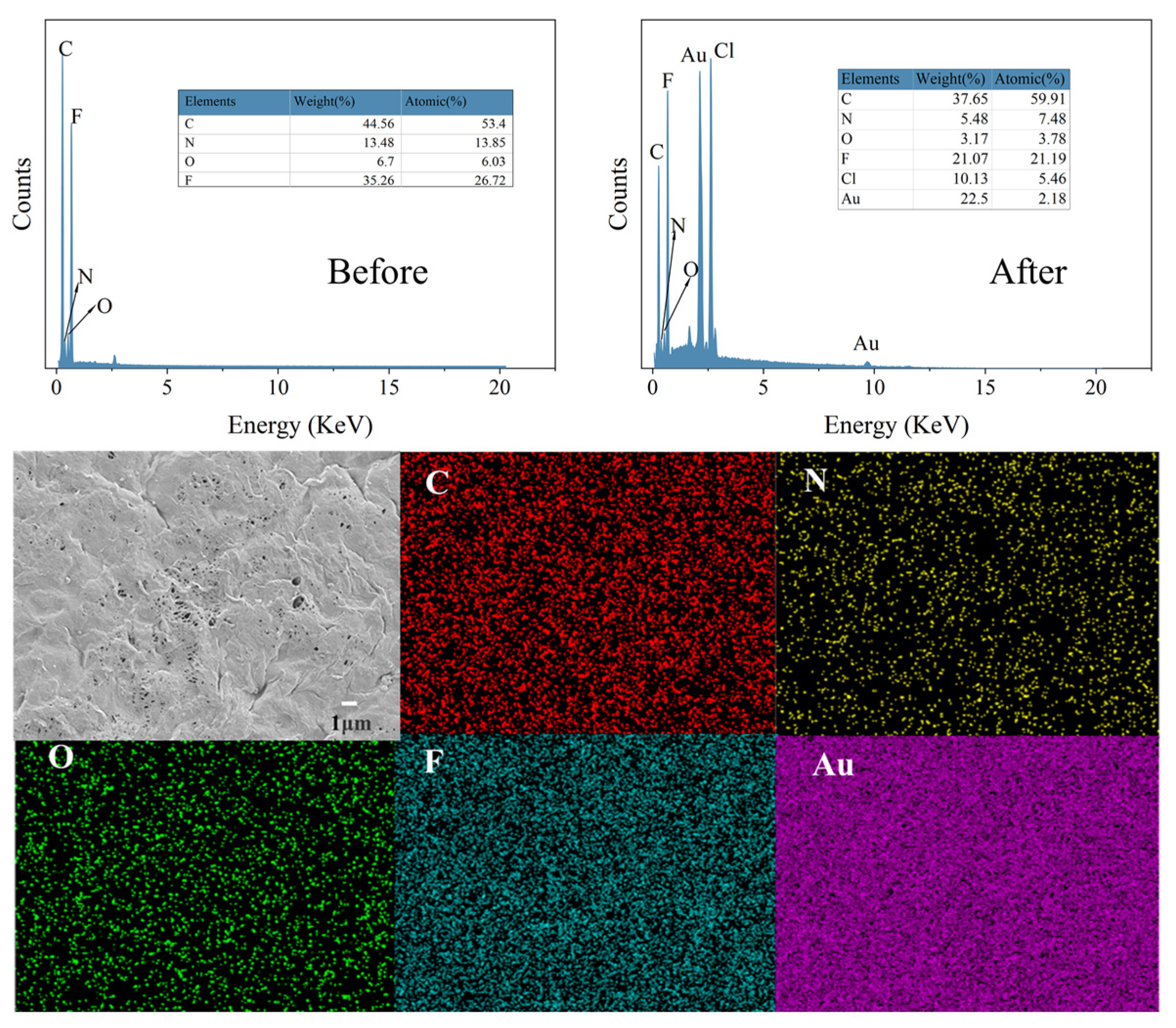 Molecules 29 02051 g008