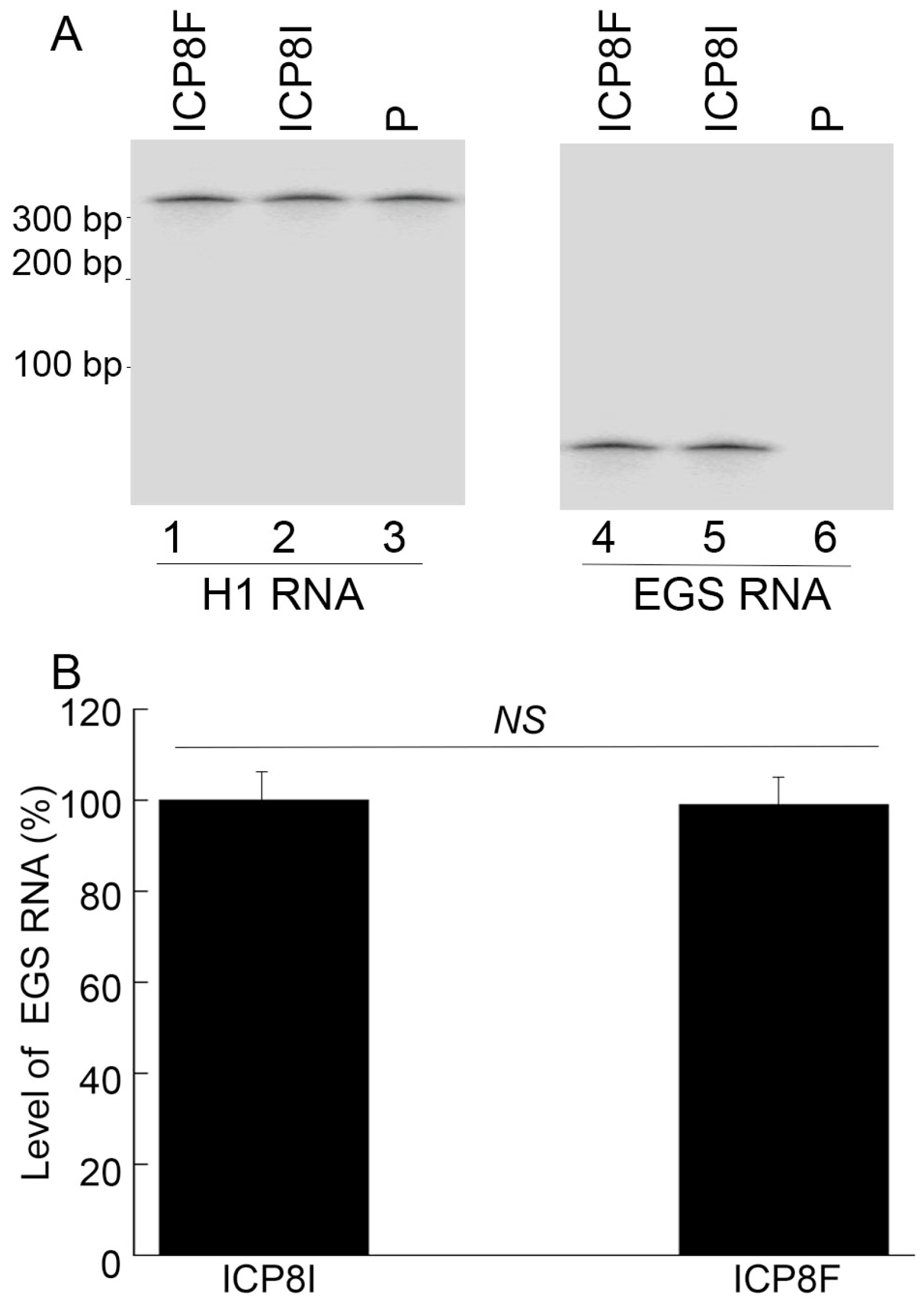 Molecules 29 02052 g002