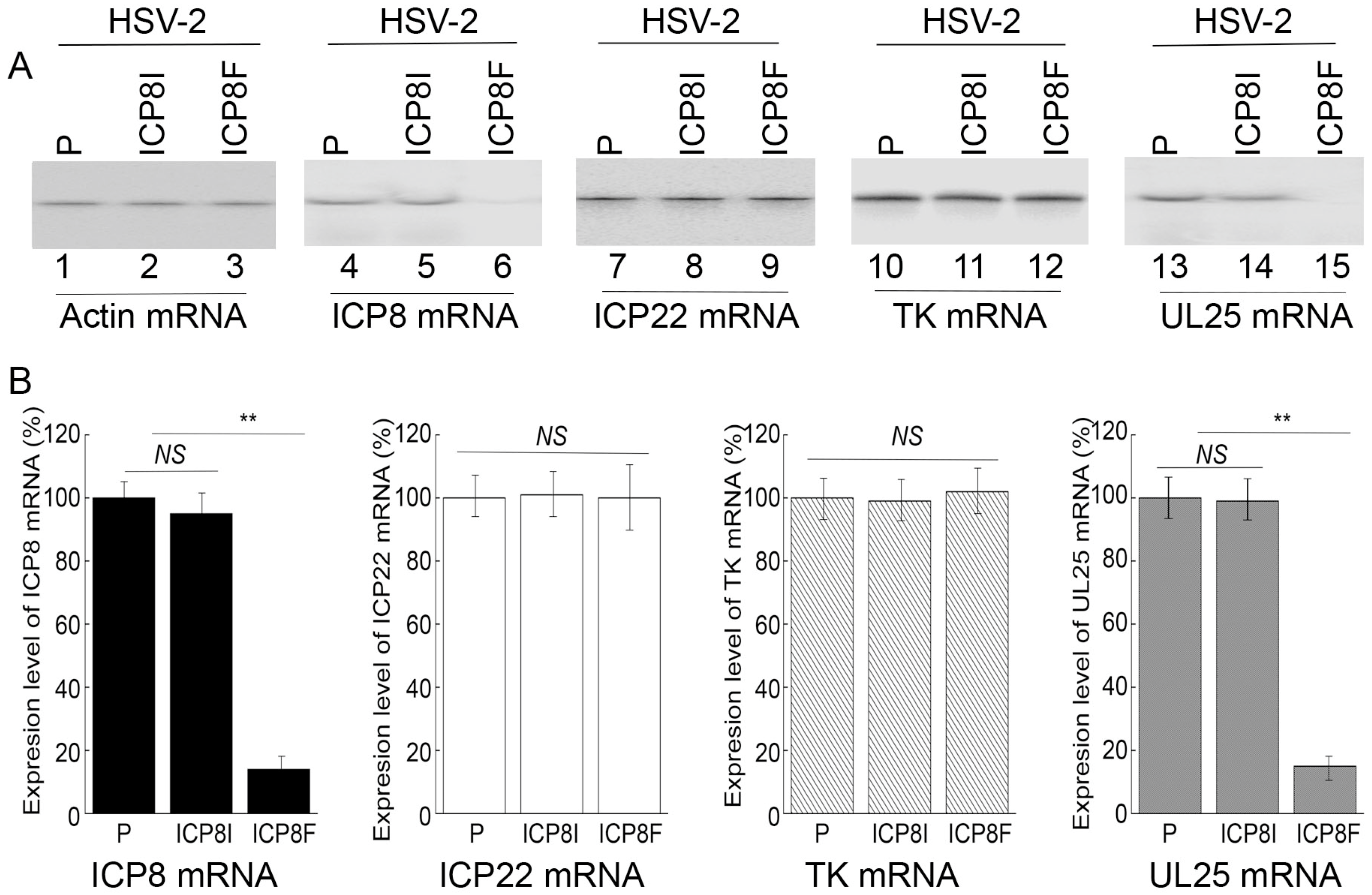 Molecules 29 02052 g003