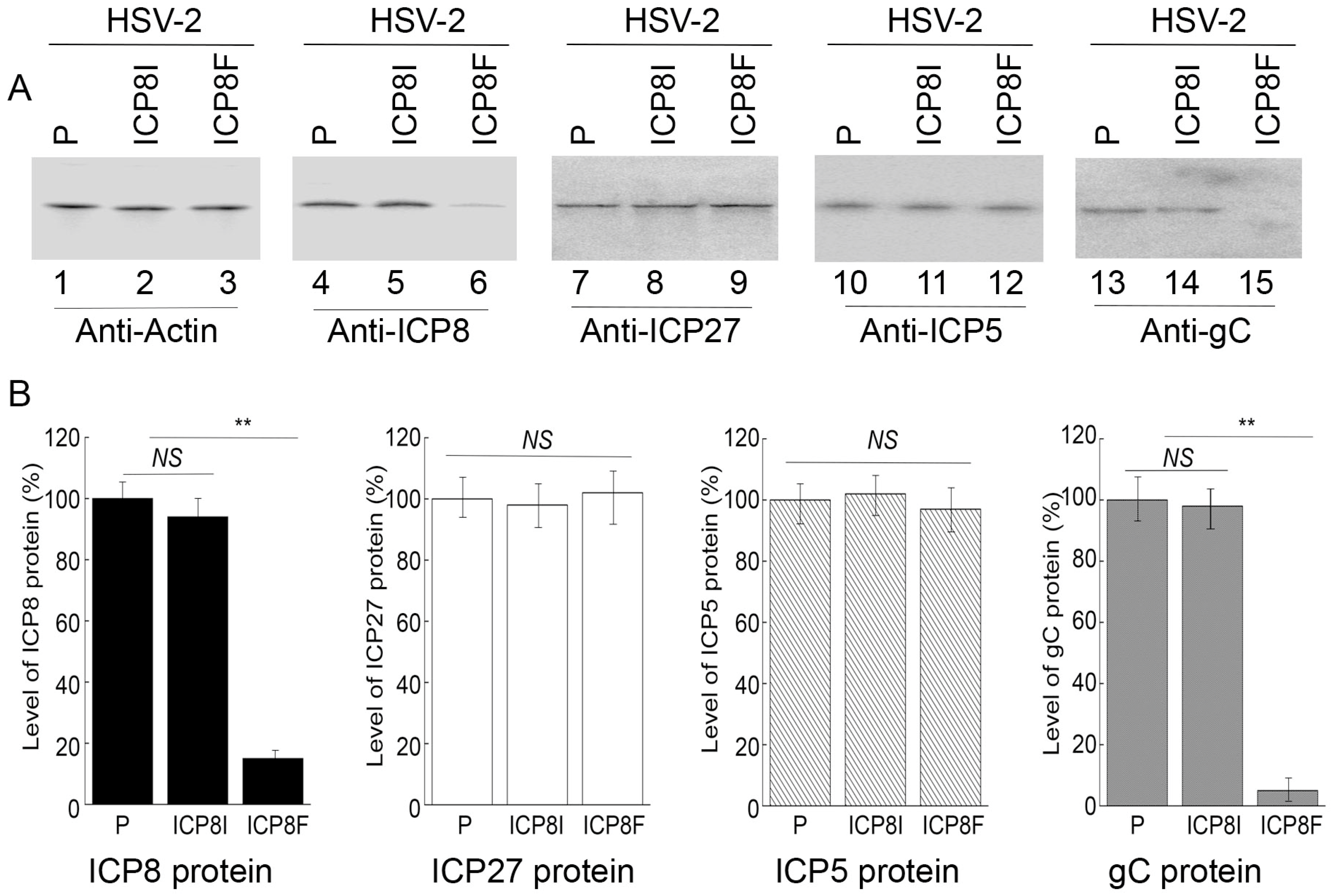 Molecules 29 02052 g004