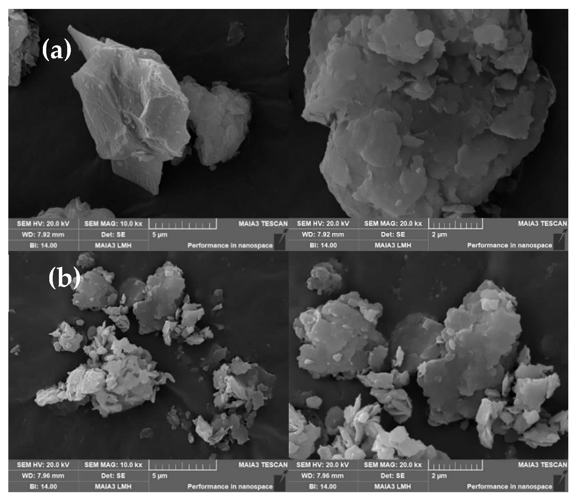 Molecules 29 02057 g009