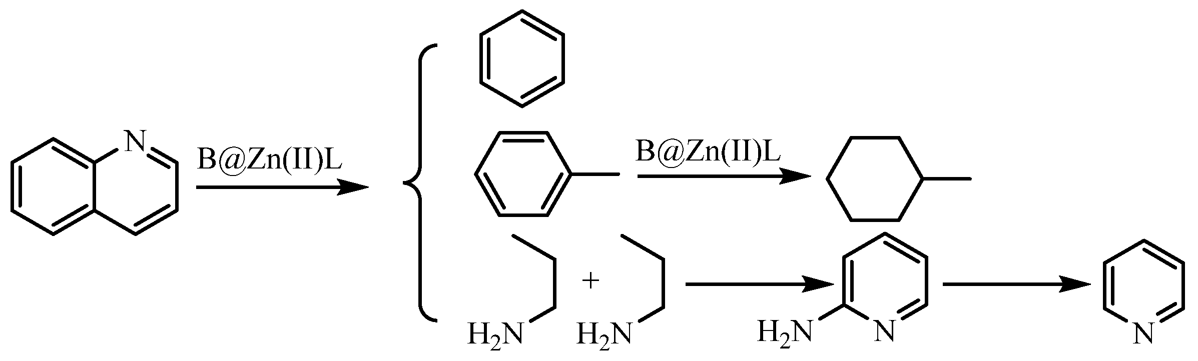 Molecules 29 02057 g018