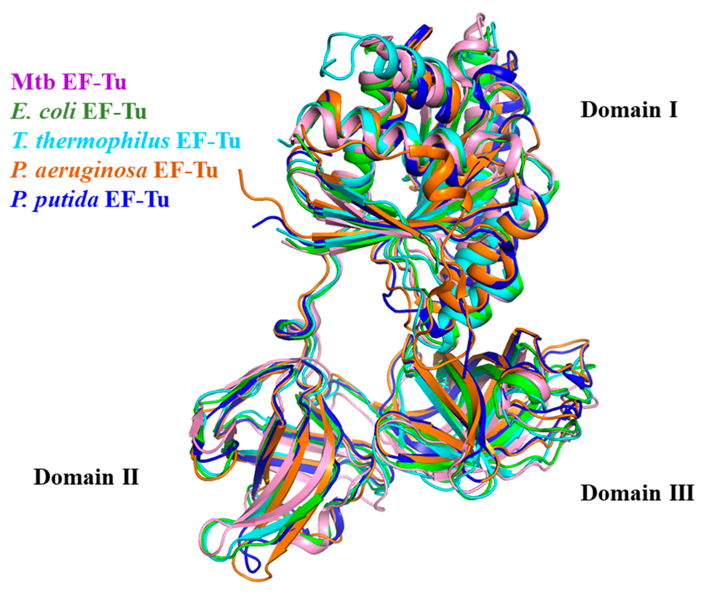 Molecules 29 02058 g003