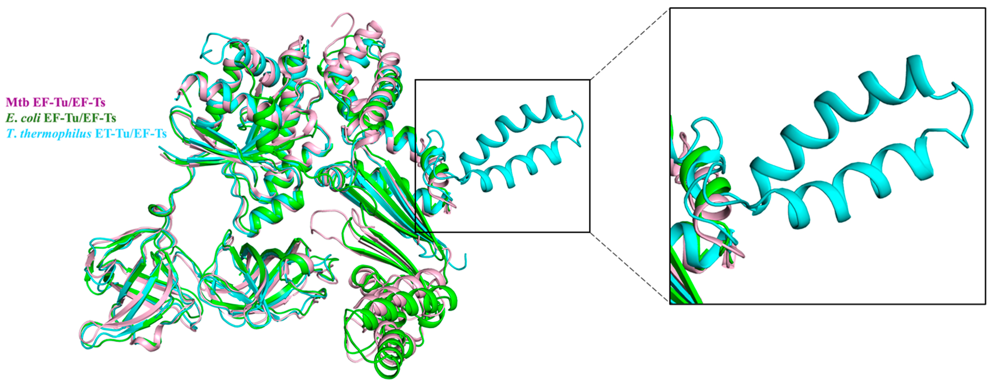 Molecules 29 02058 g004
