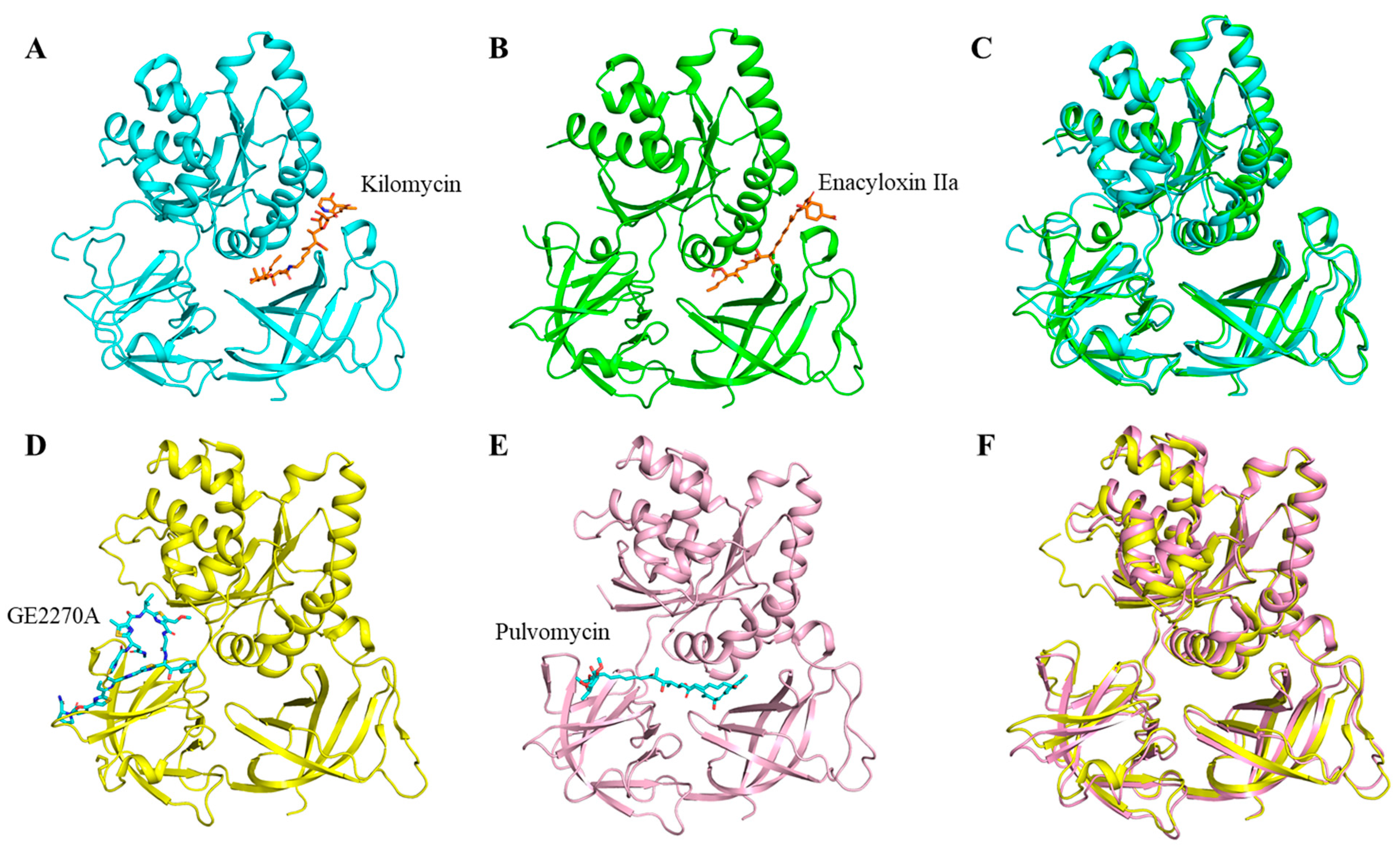 Molecules 29 02058 g005