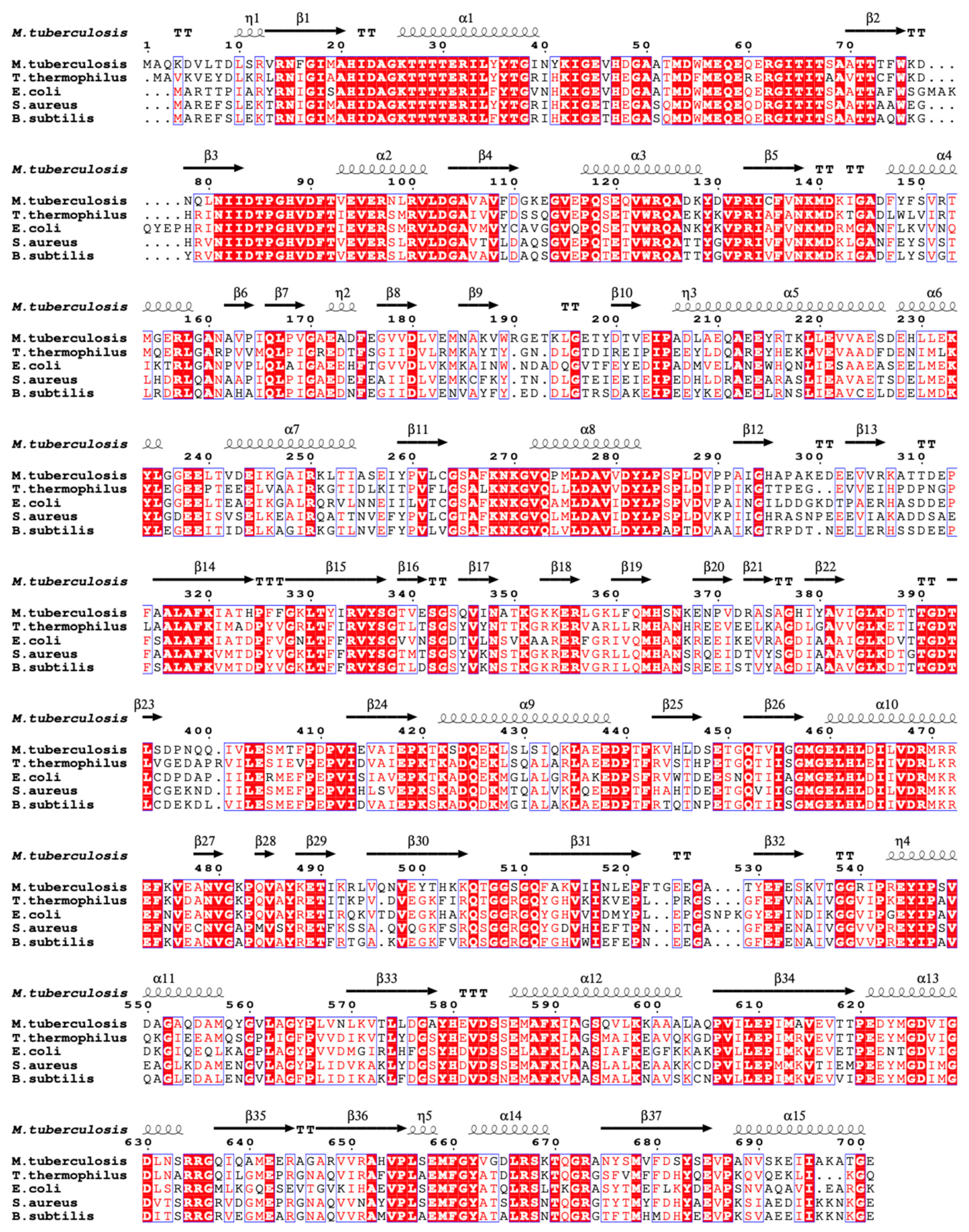 Molecules 29 02058 g006