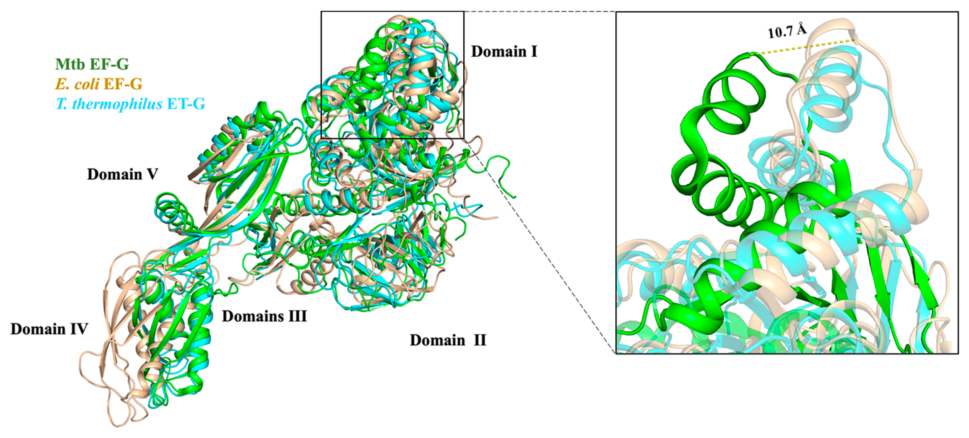 Molecules 29 02058 g007