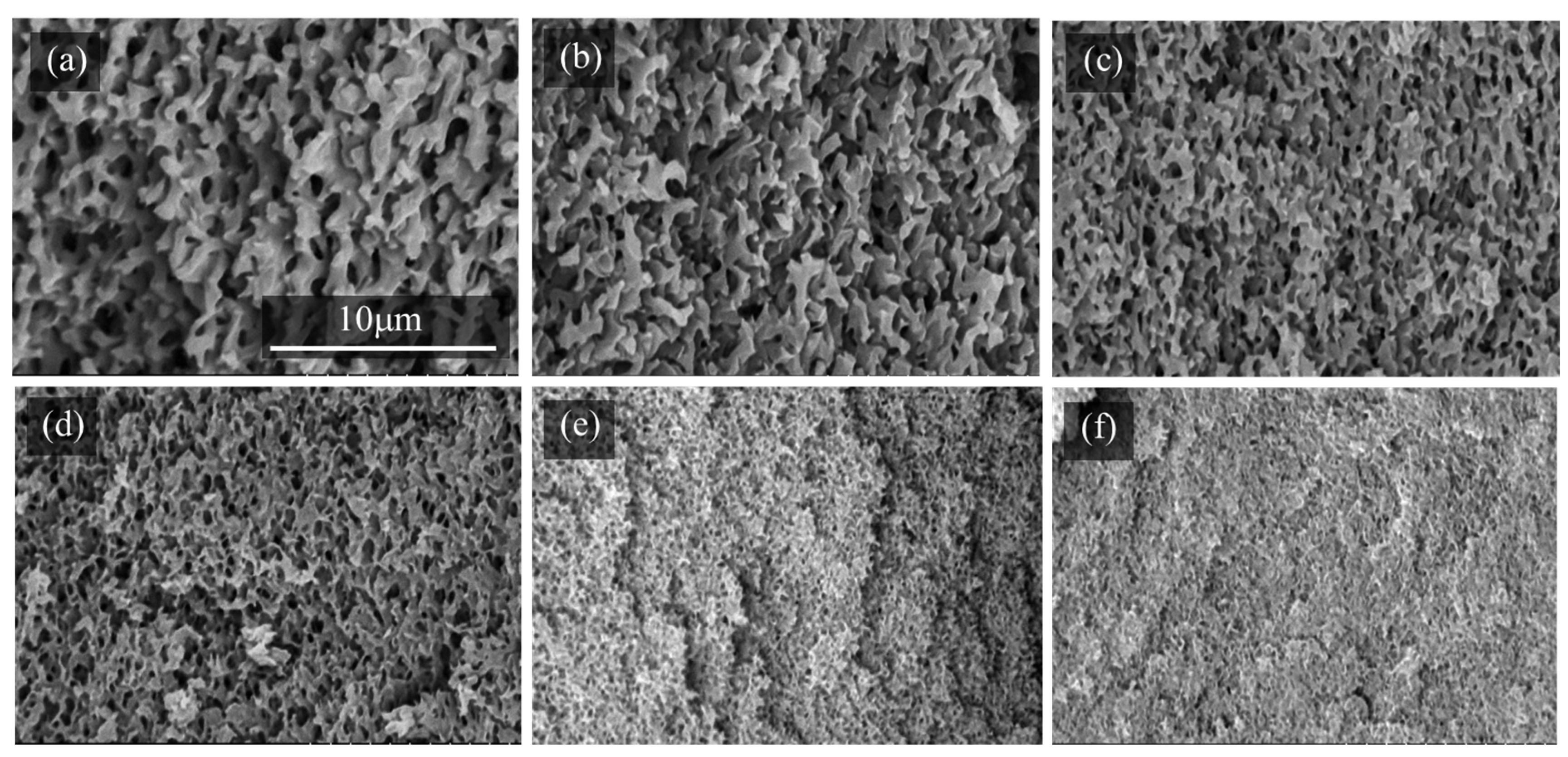 Molecules 29 02059 g004