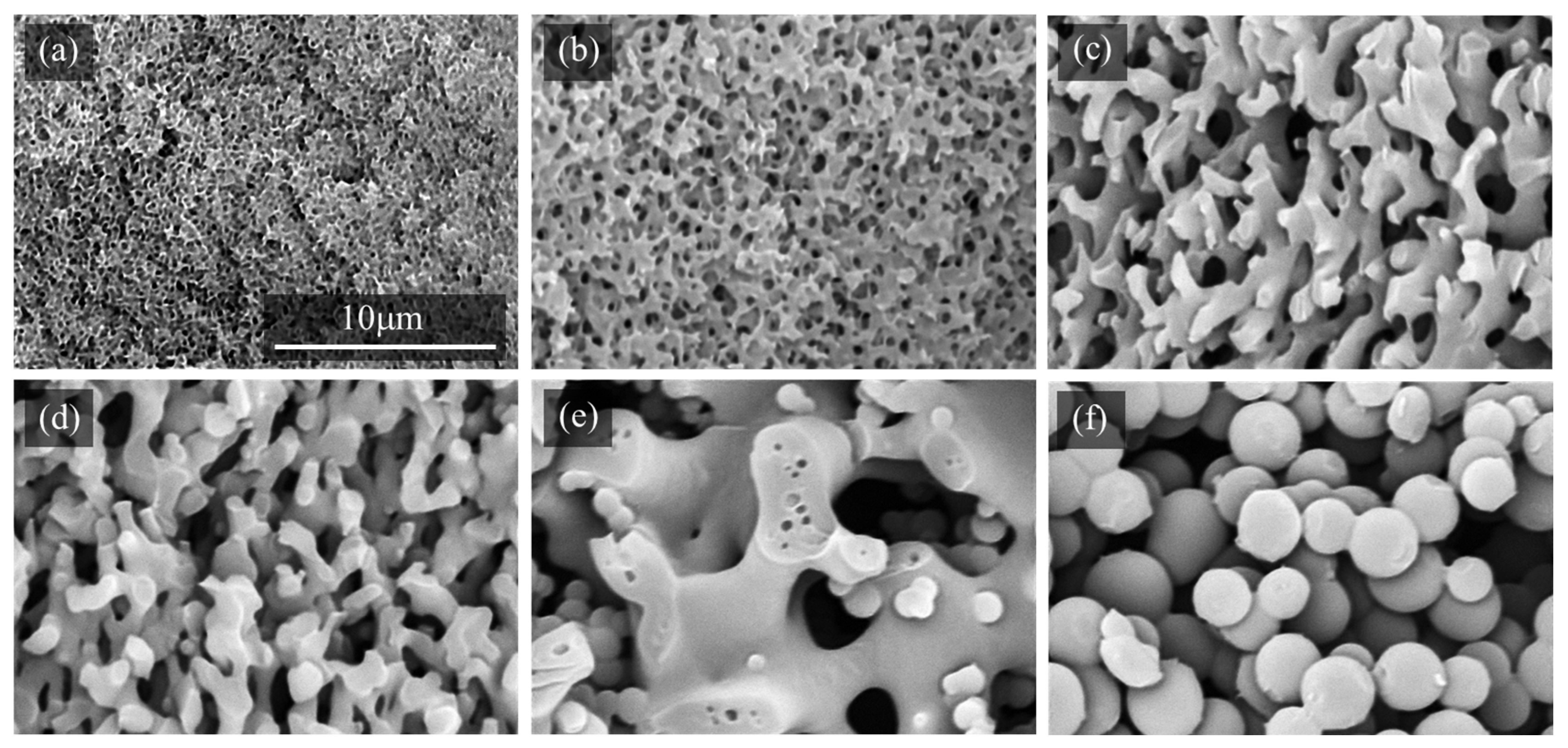 Molecules 29 02059 g005