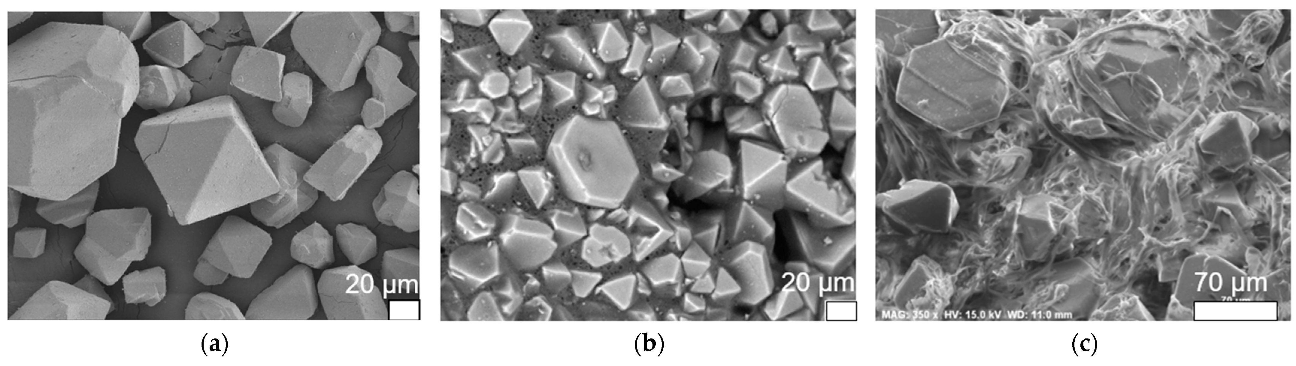 Molecules 29 02069 g003