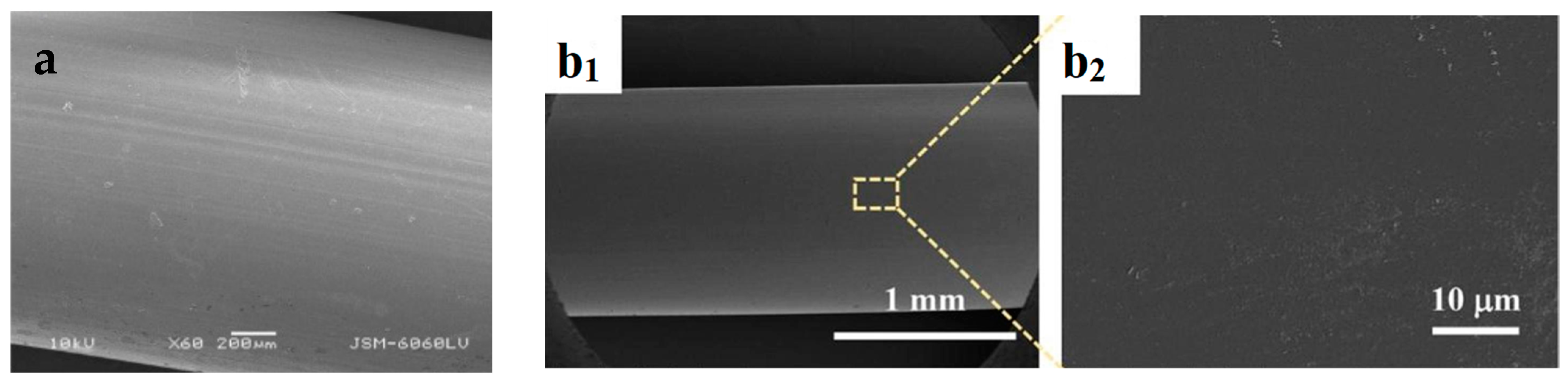 Molecules 29 02069 g004