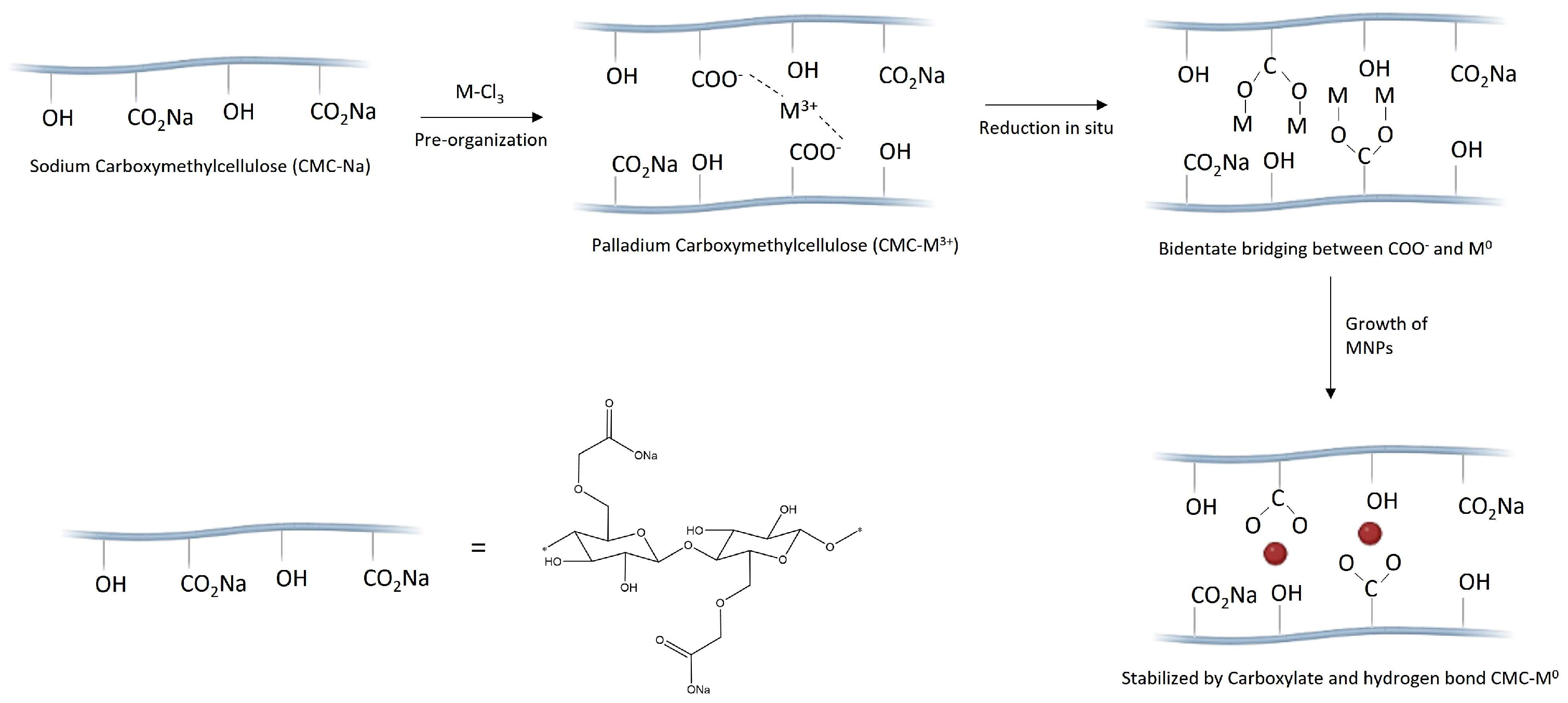 Molecules 29 02083 sch002