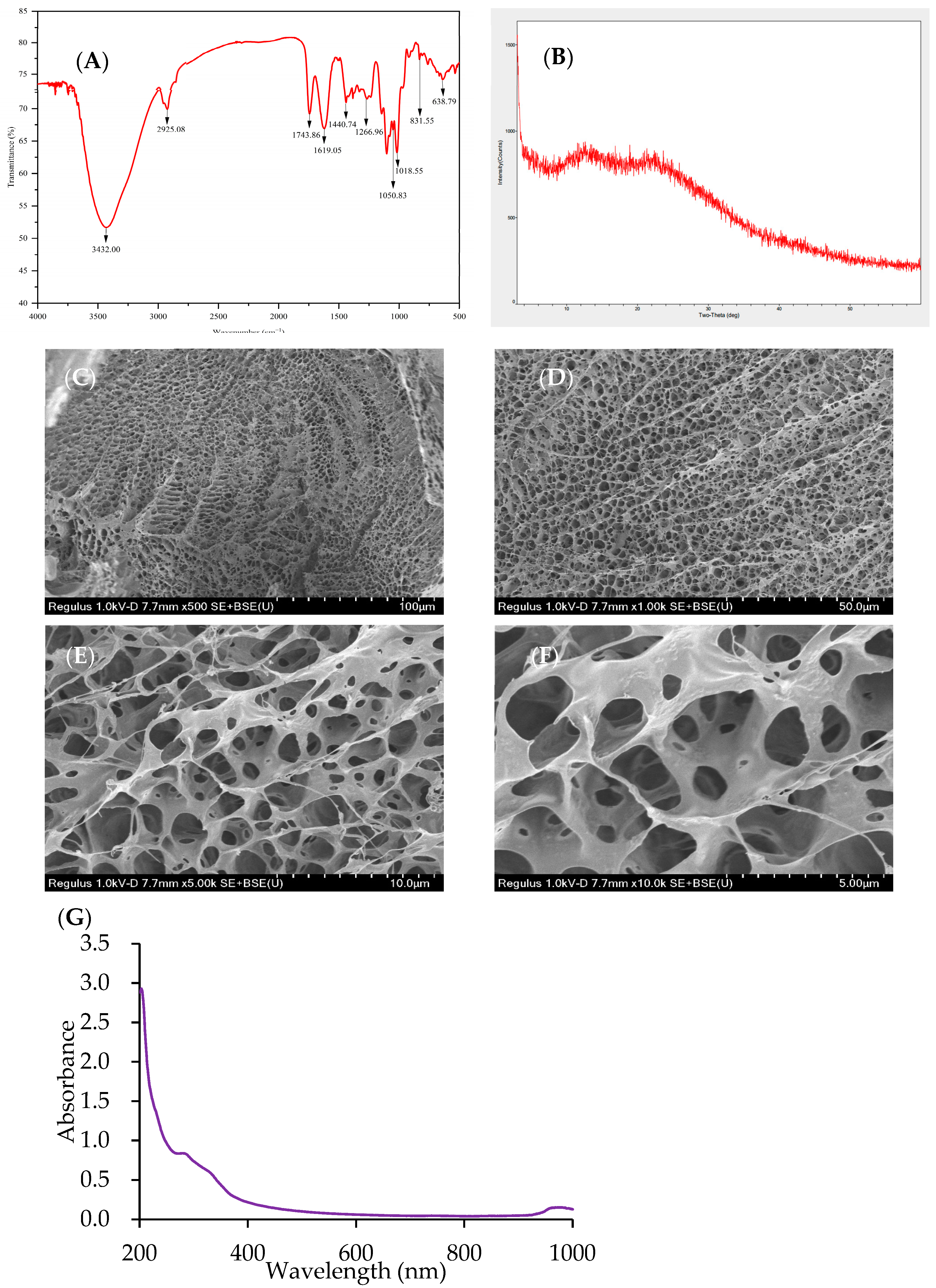 Molecules 29 02085 g004