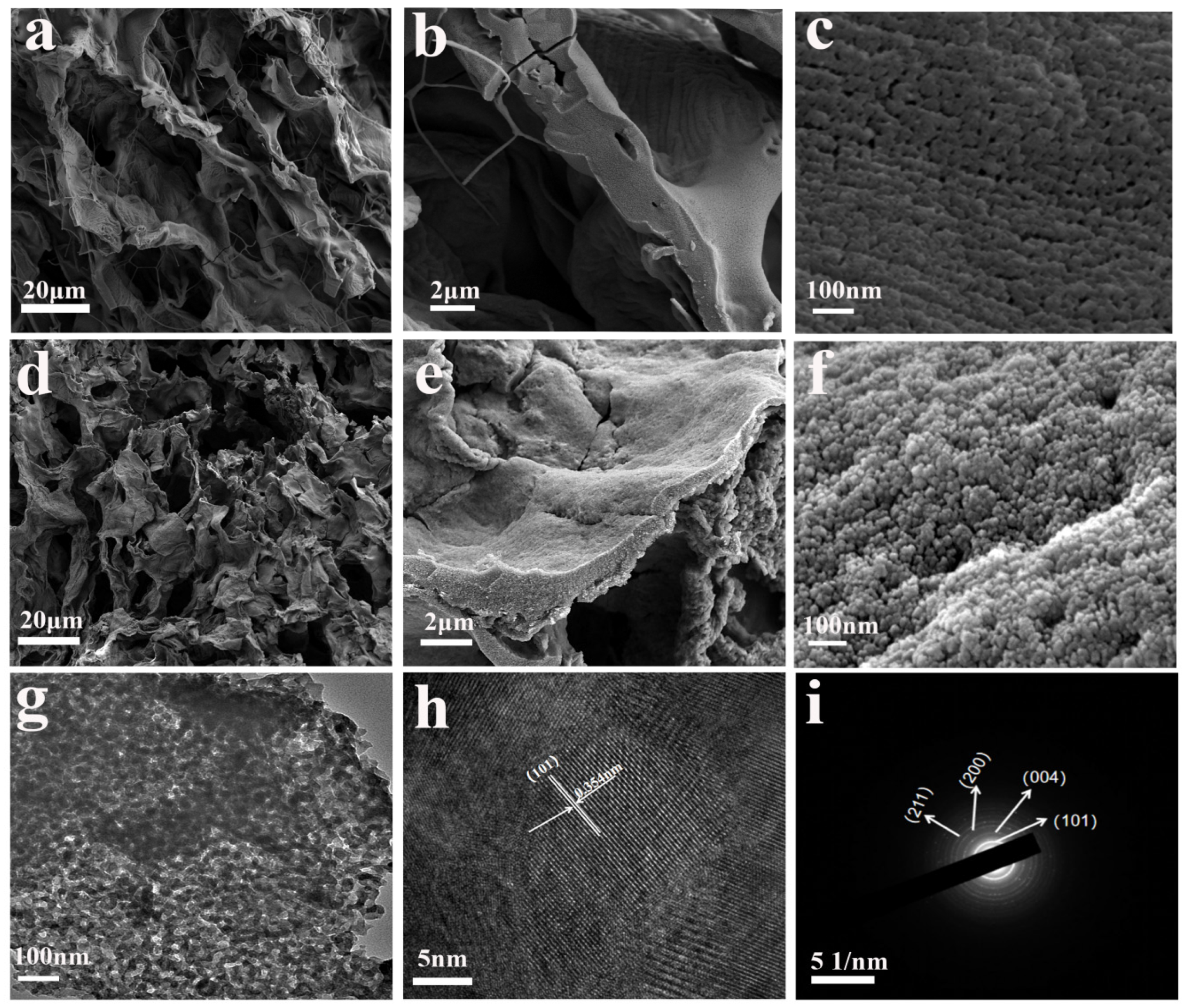 Molecules 29 02090 g005