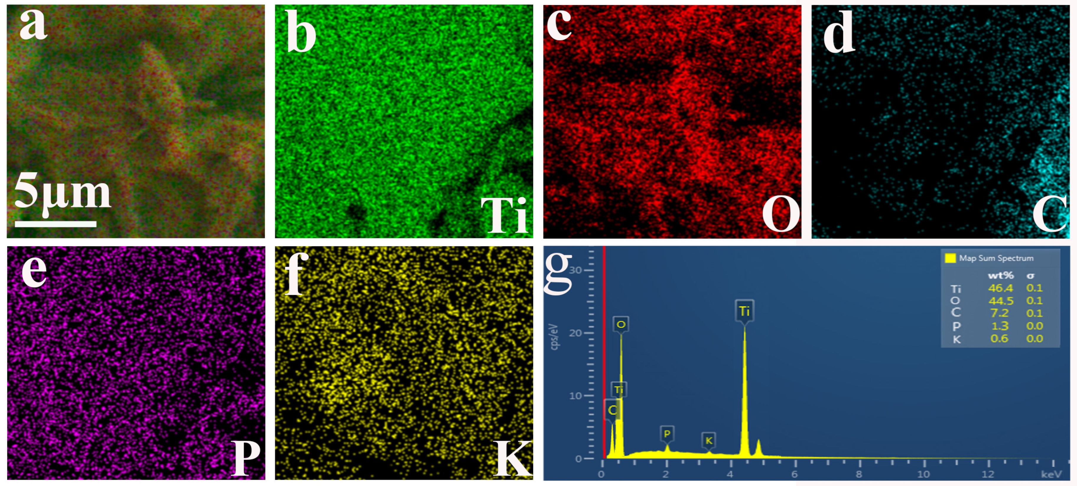 Molecules 29 02090 g006