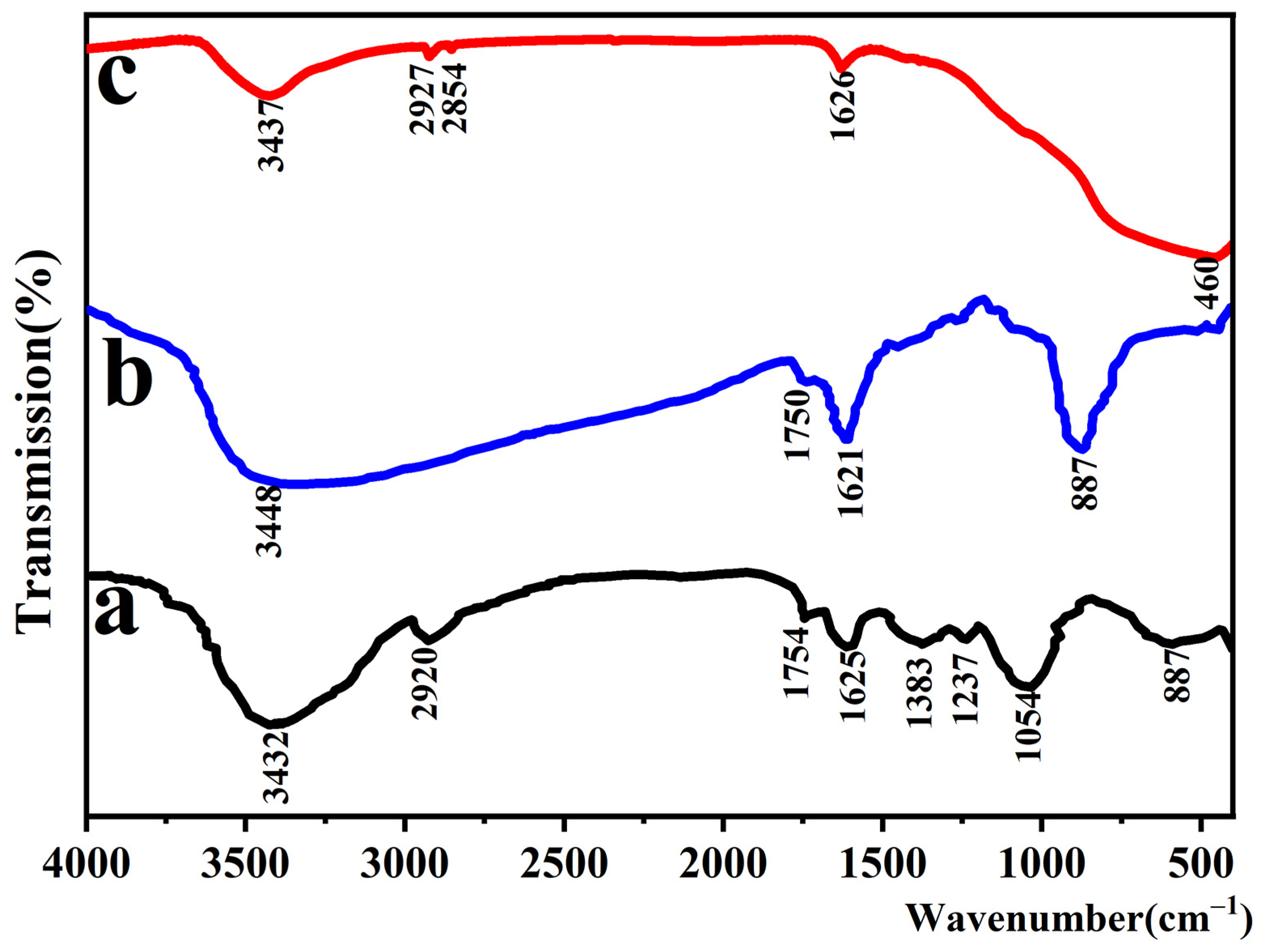 Molecules 29 02090 g007