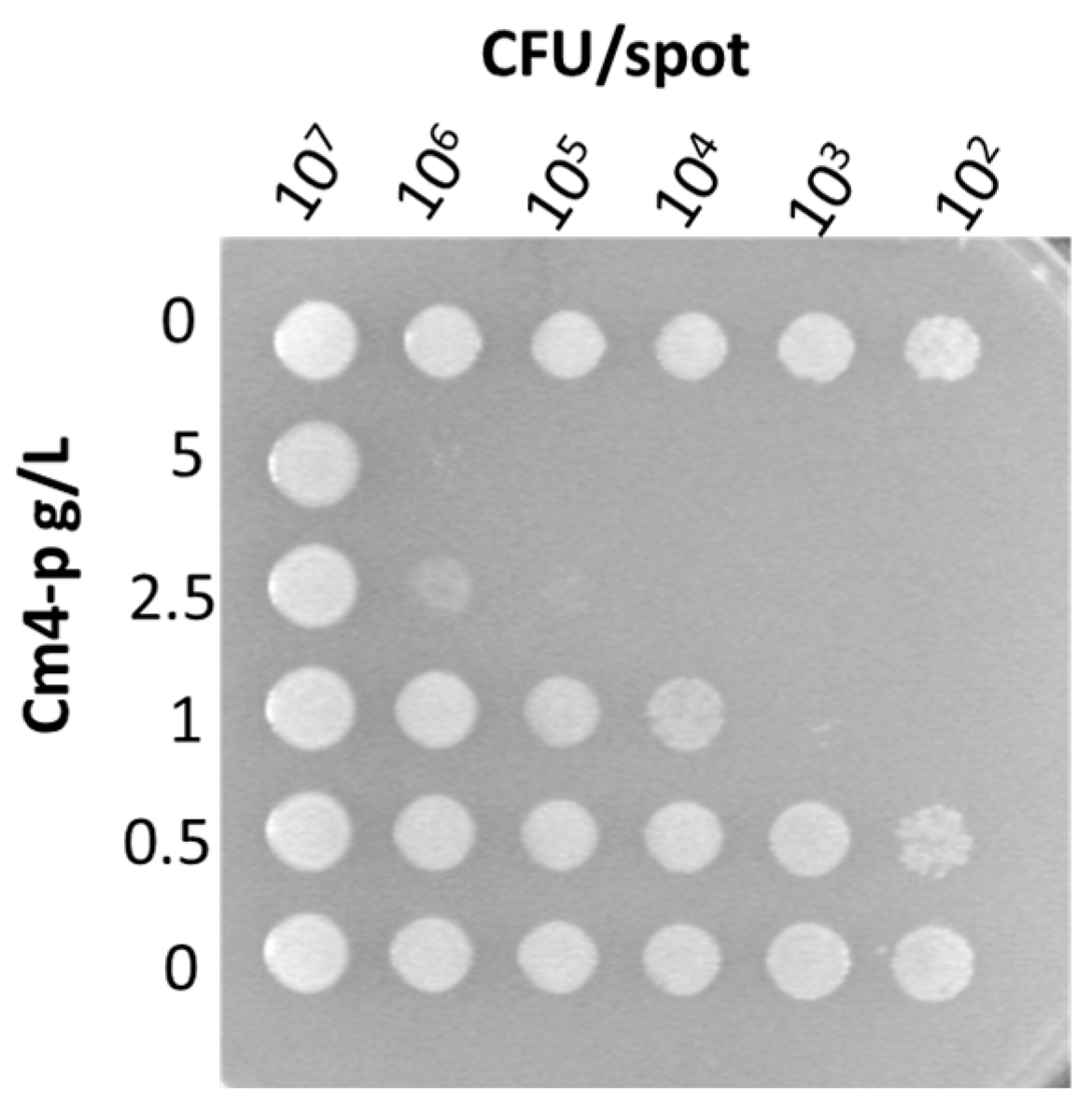 Molecules 29 02091 g005