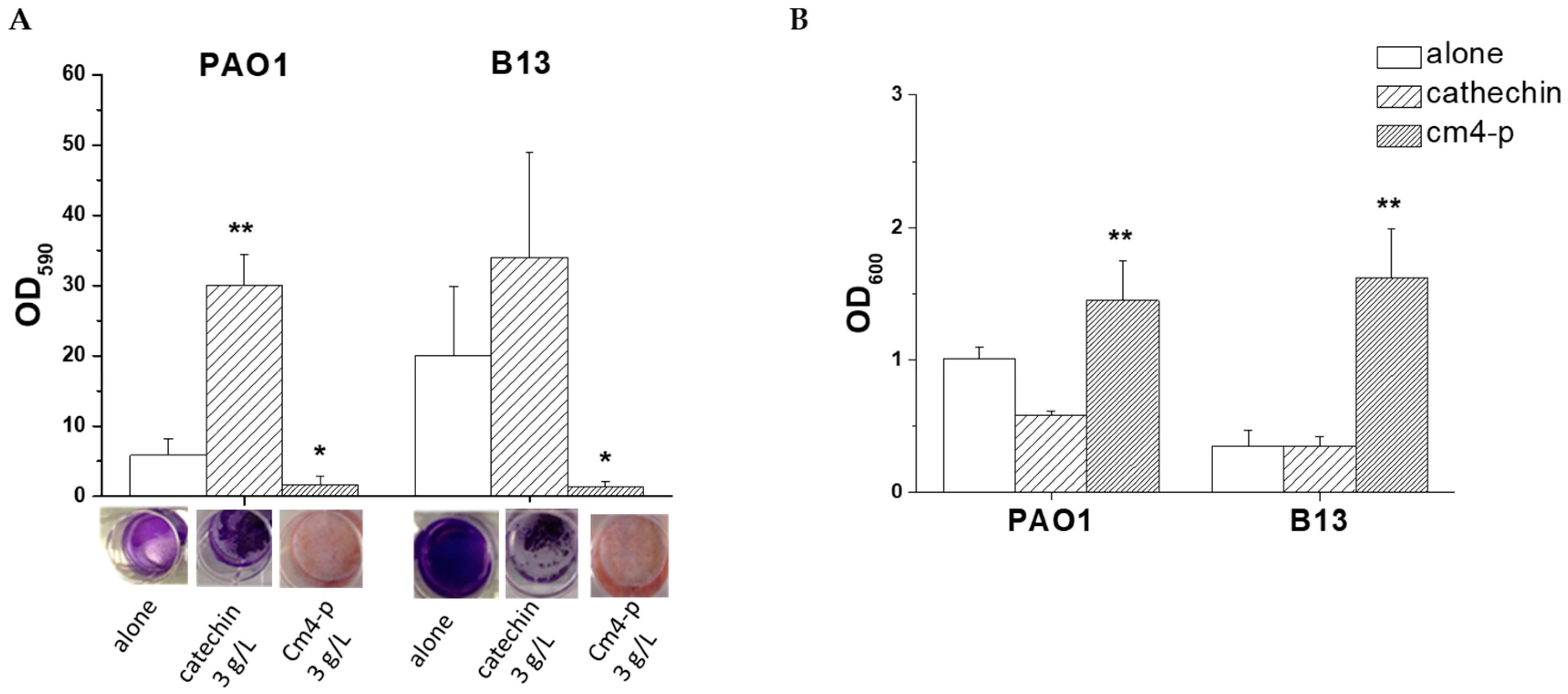 Molecules 29 02091 g006