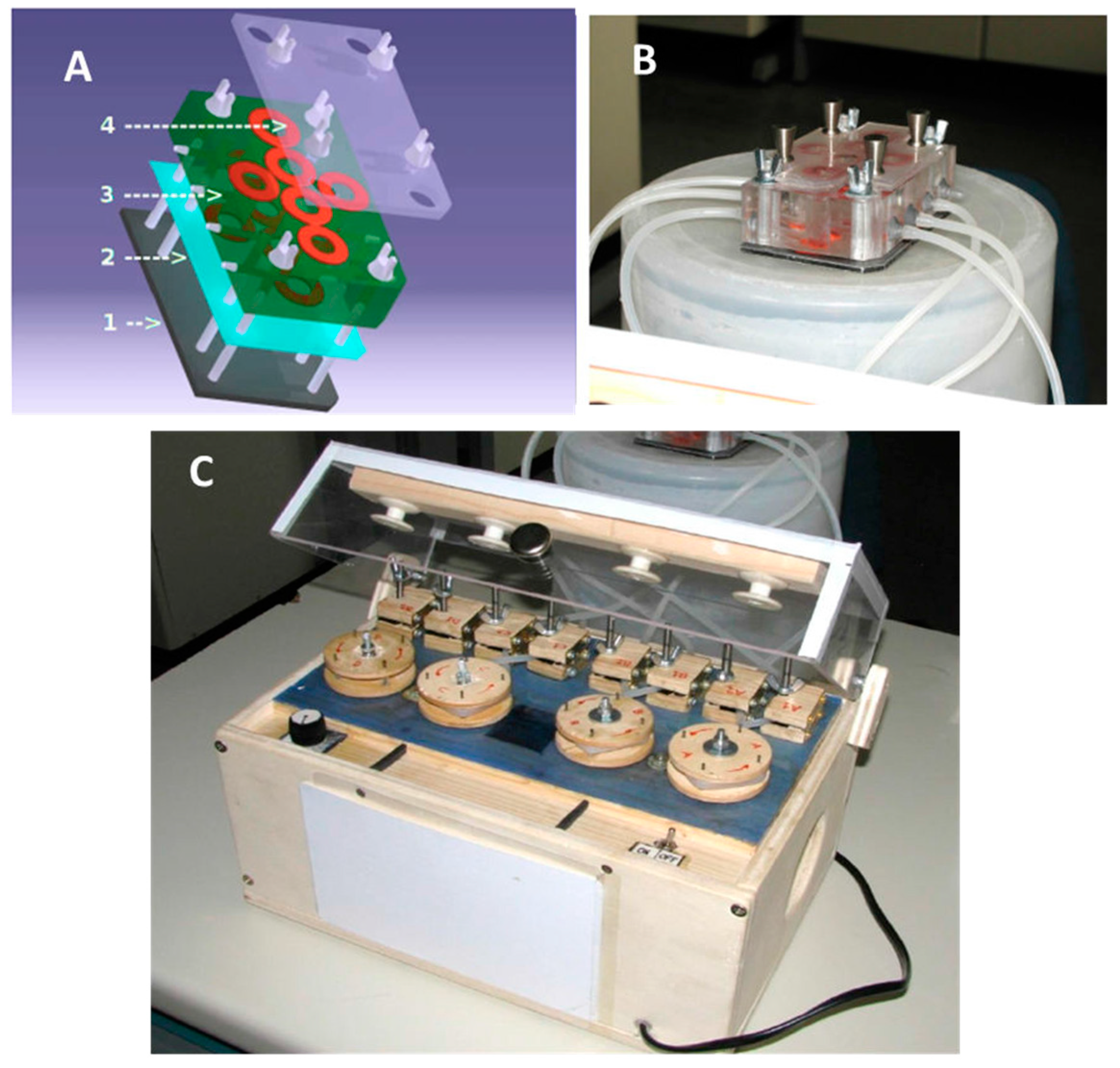 Molecules 29 02091 g010