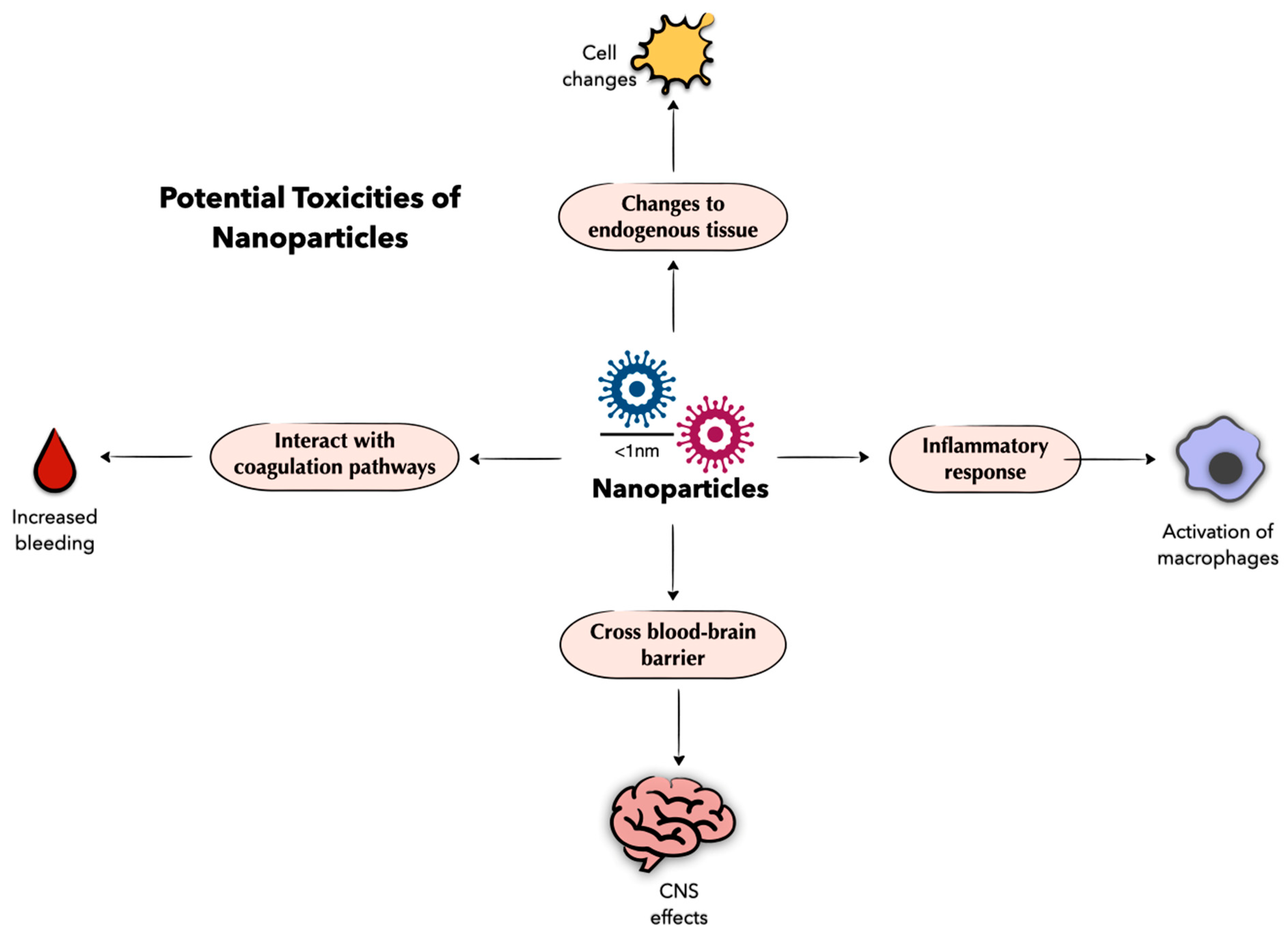 Molecules 29 02095 g002