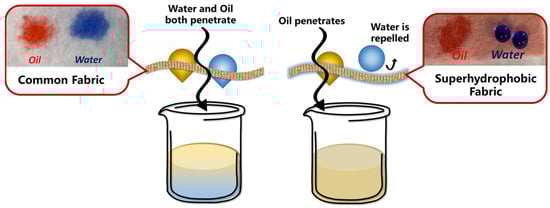 Molecules 29 02098 g011