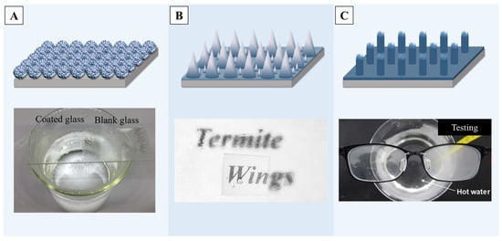Molecules 29 02098 g012