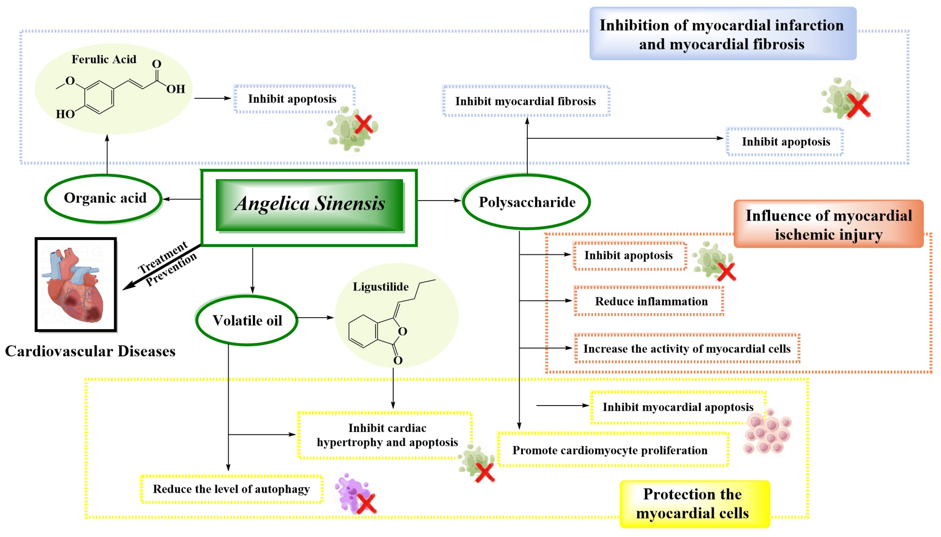 Molecules 29 02100 g002