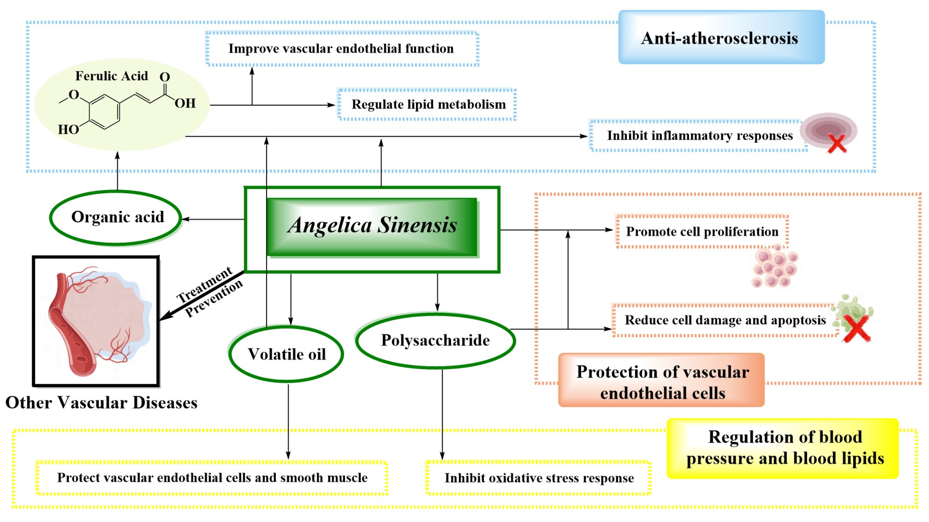 Molecules 29 02100 g004