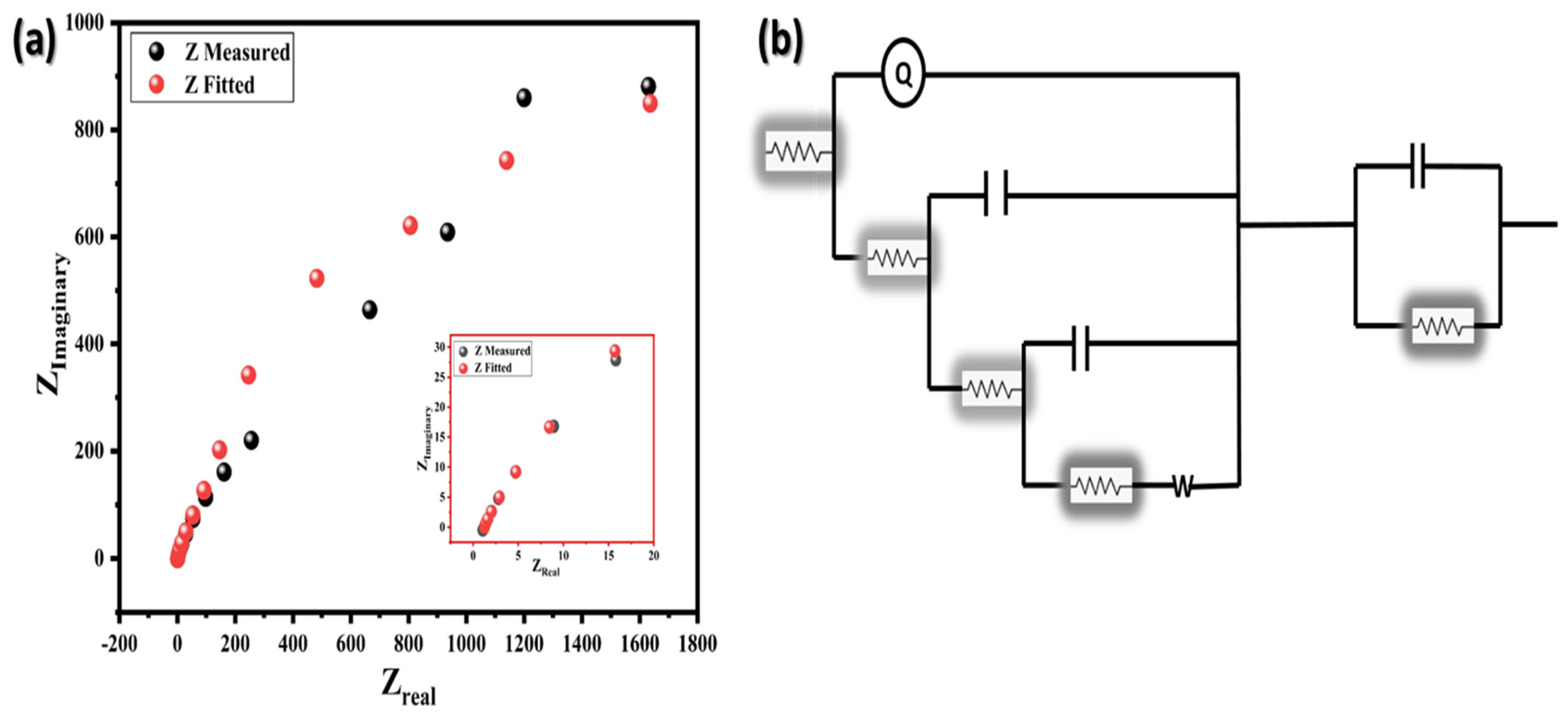 Molecules 29 02103 g007