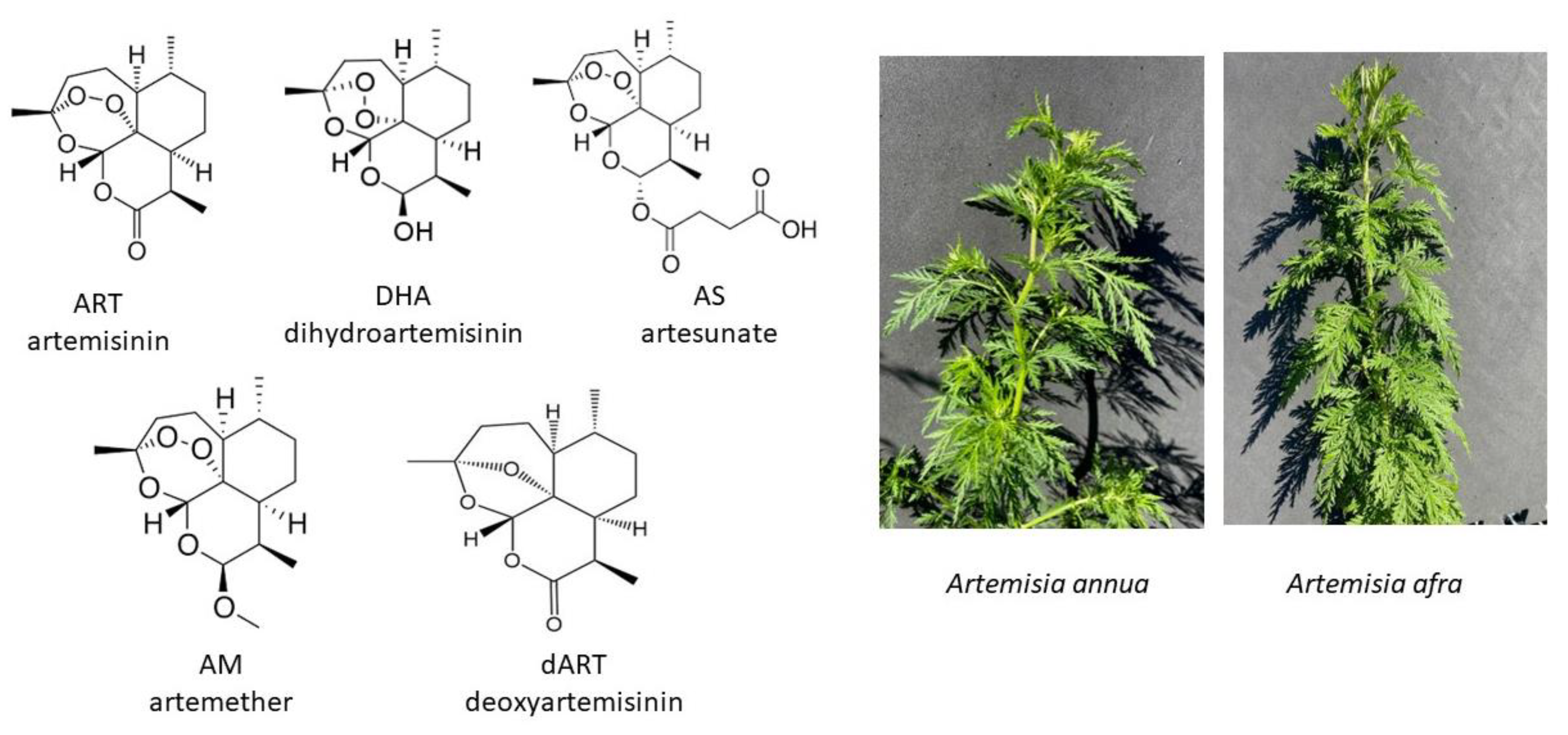 Molecules 29 02107 g001