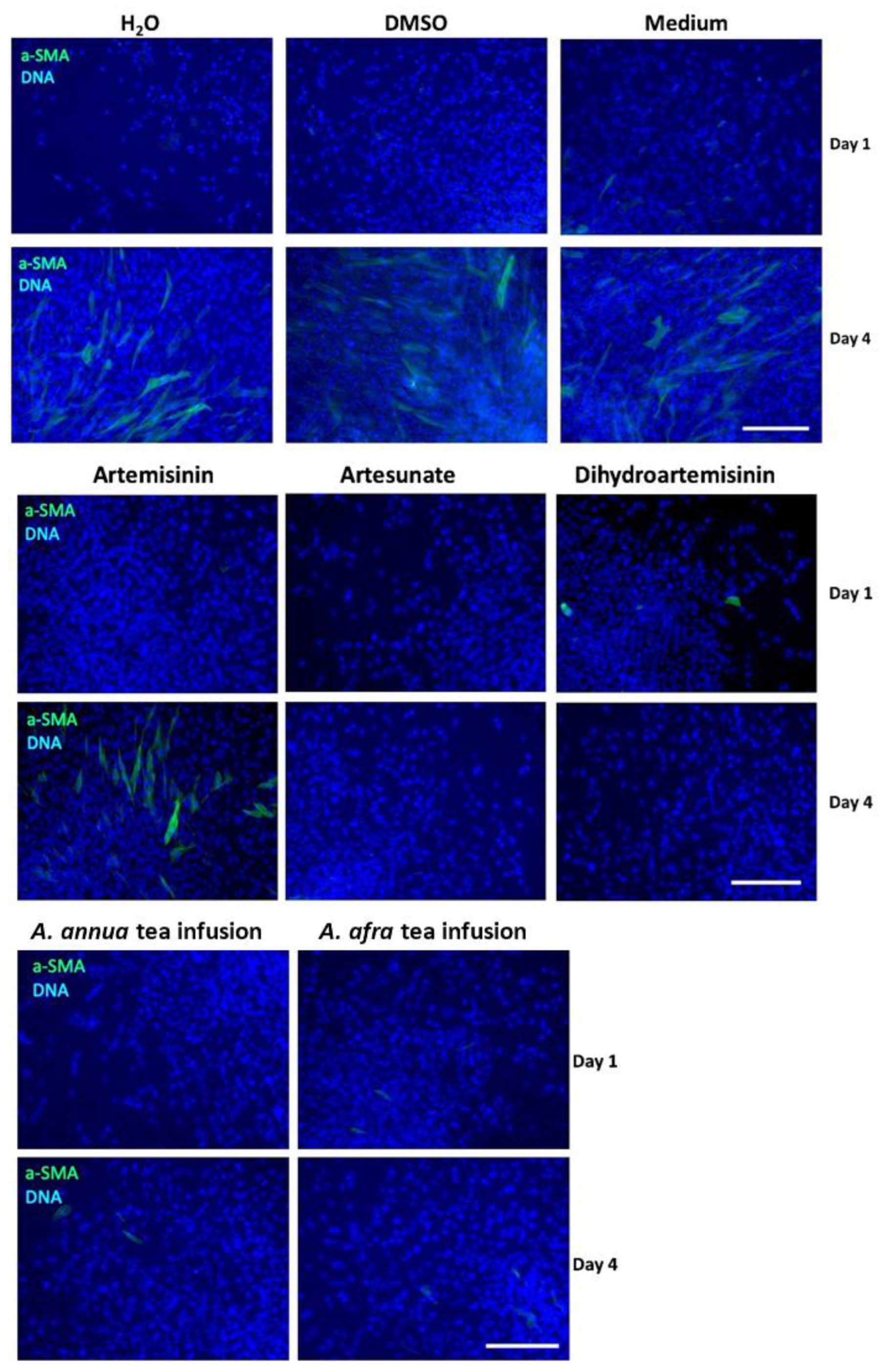Molecules 29 02107 g005