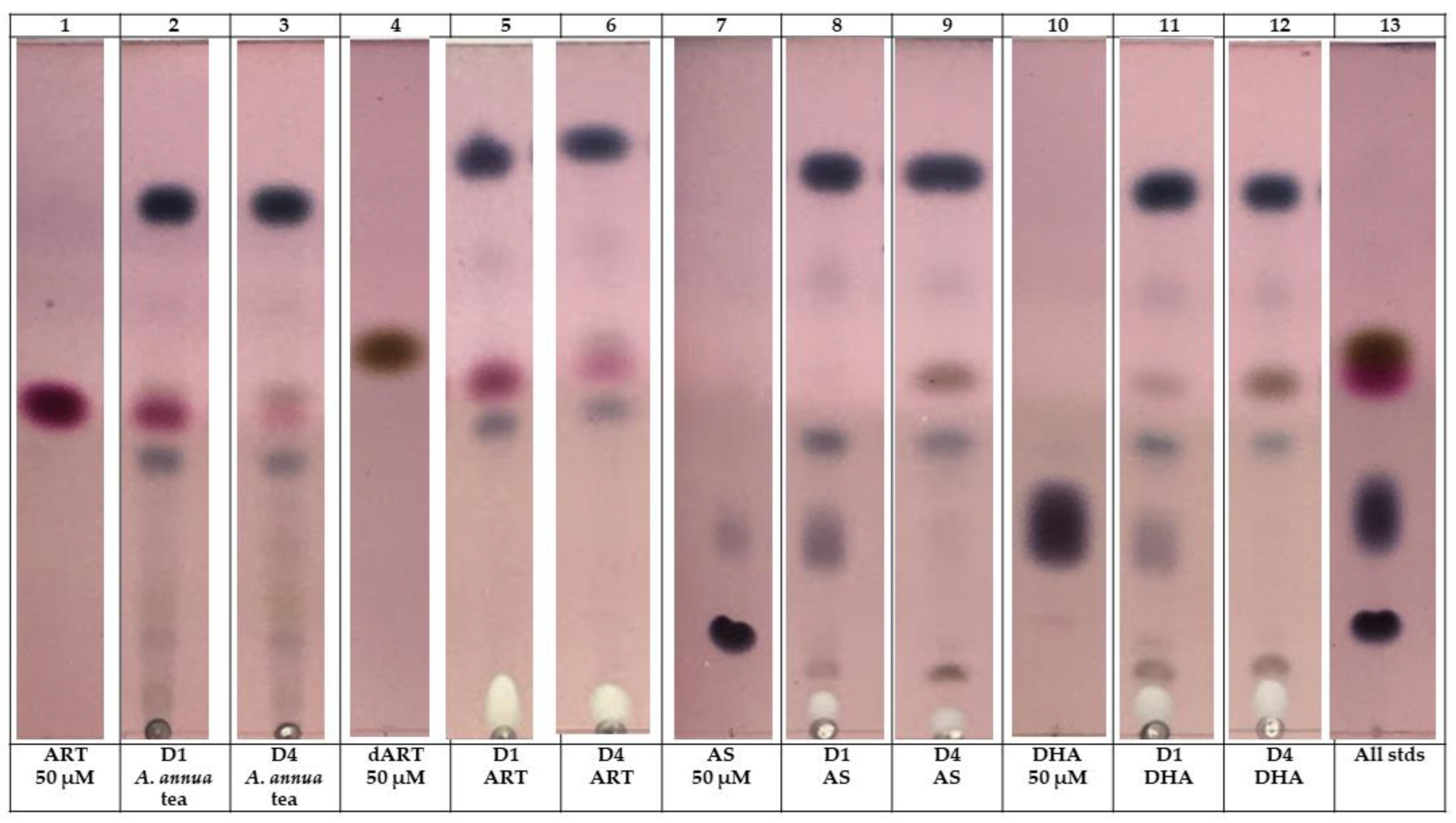Molecules 29 02107 g006