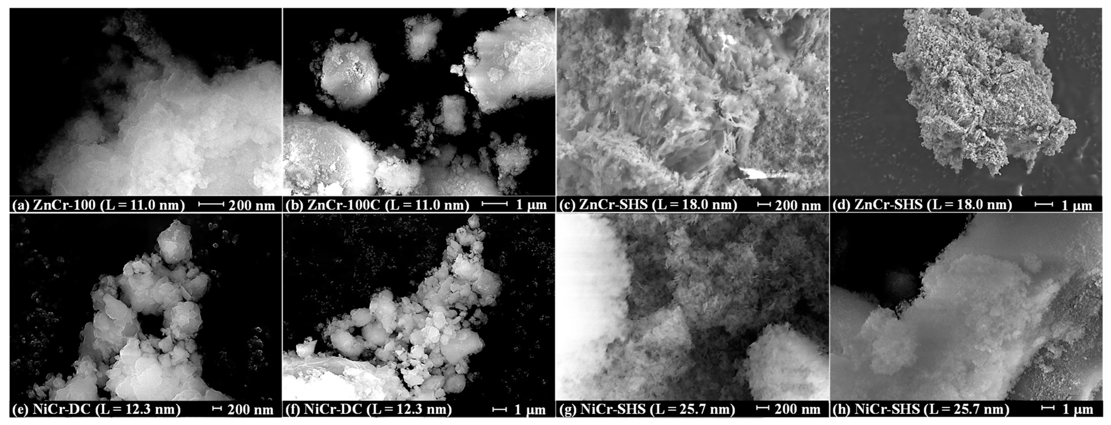 Molecules 29 02108 g006