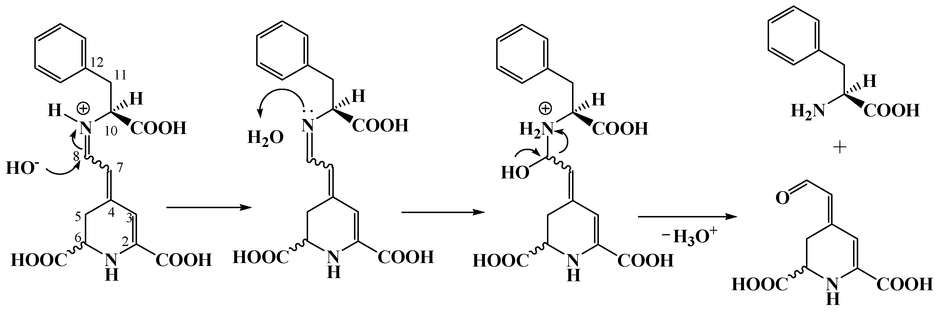 Molecules 29 02116 g006