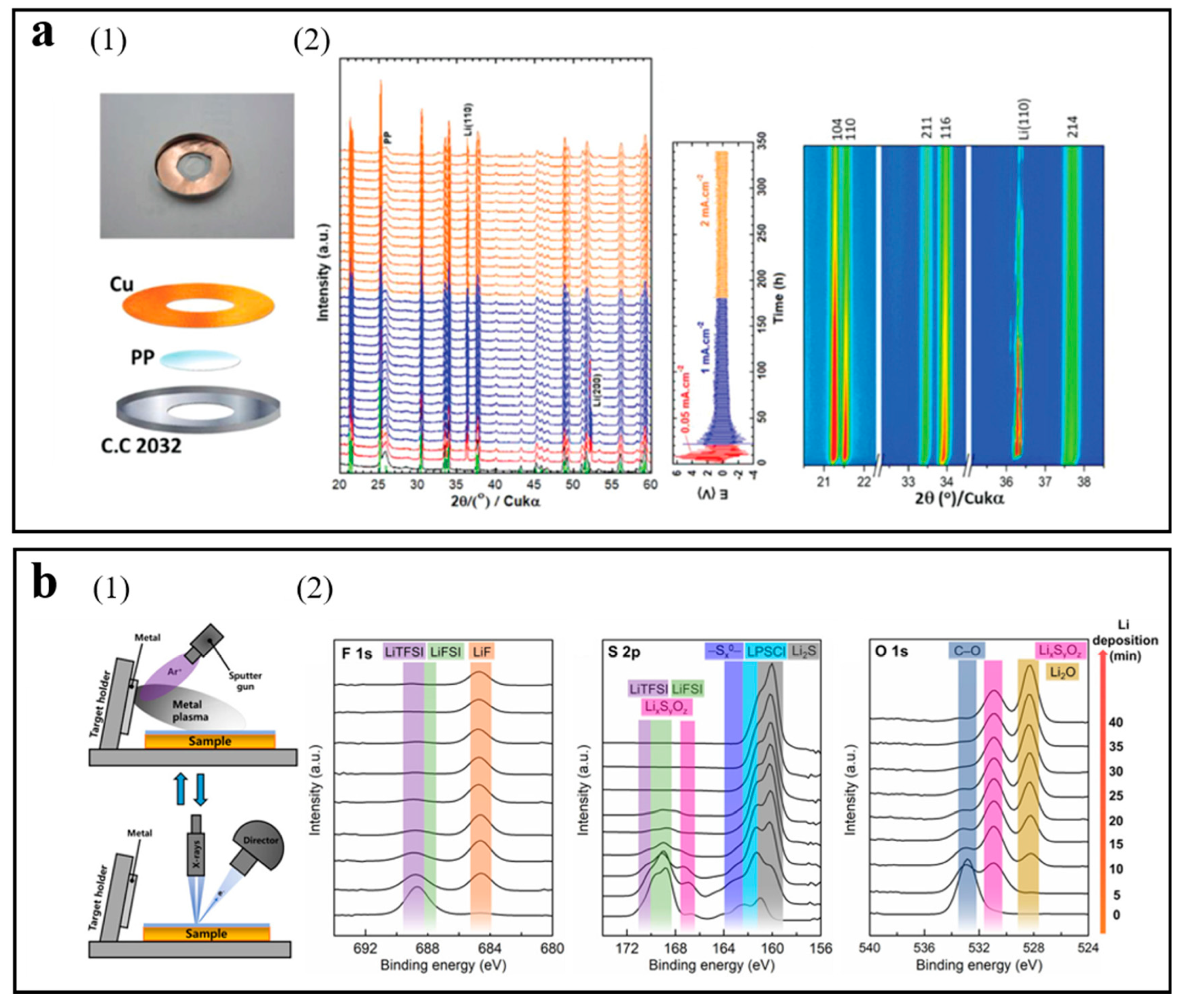 Molecules 29 02118 g002