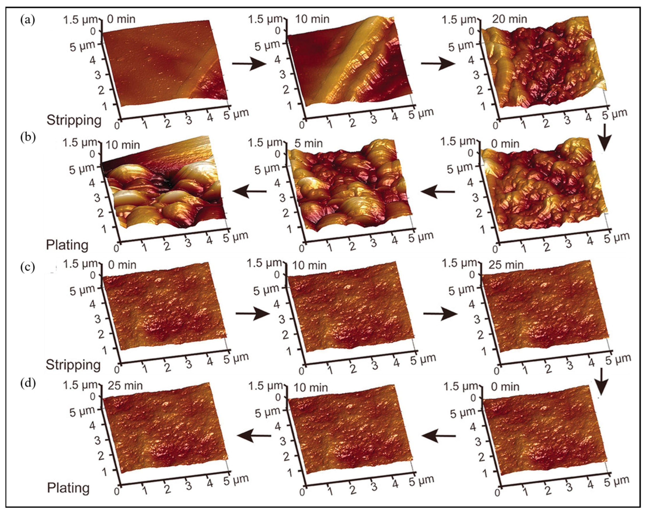 Molecules 29 02118 g007