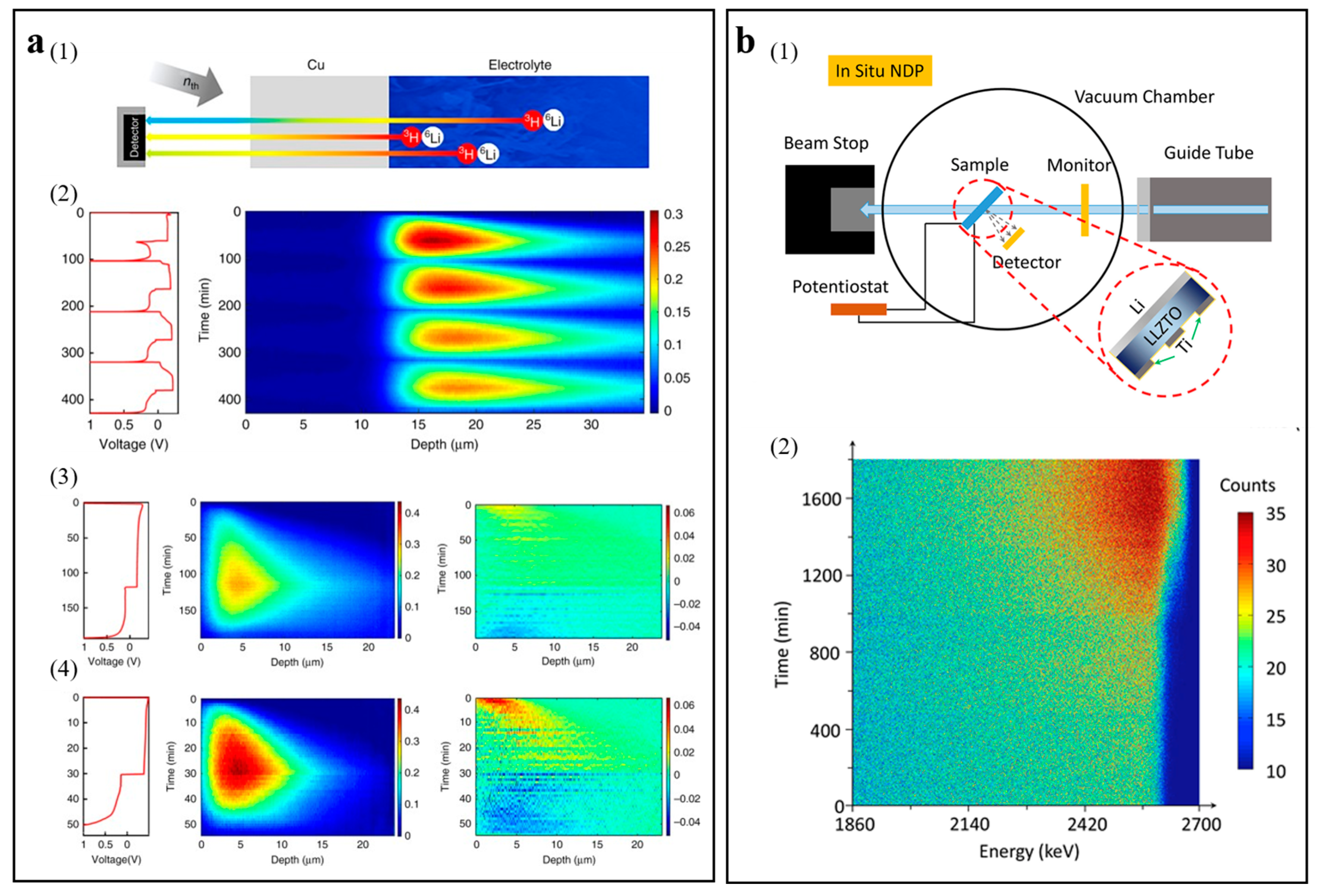 Molecules 29 02118 g008