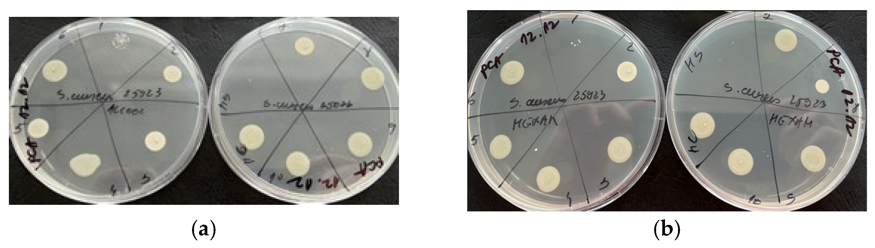 Molecules 29 02128 g004