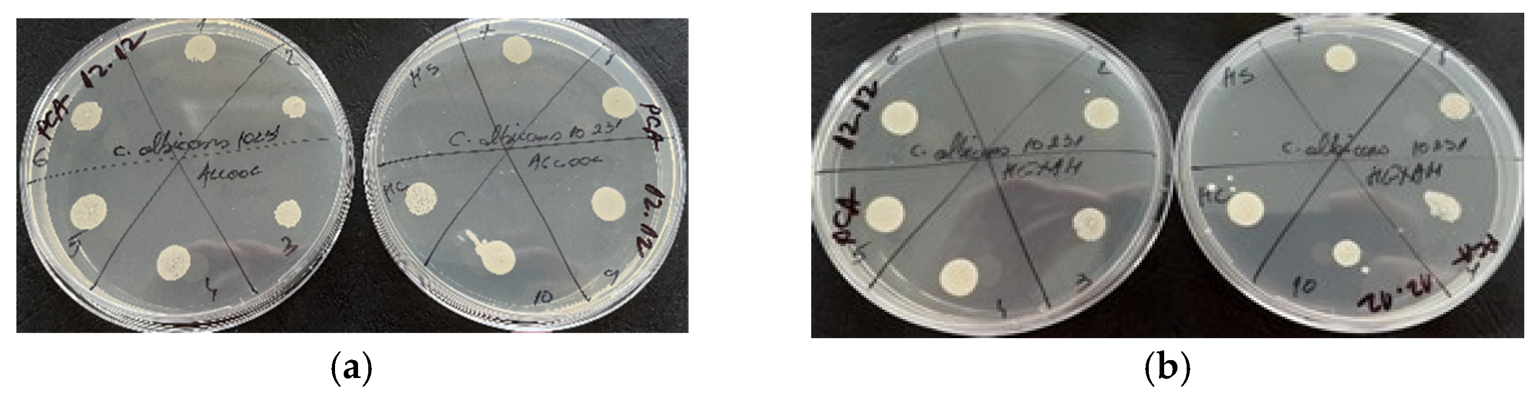 Molecules 29 02128 g005