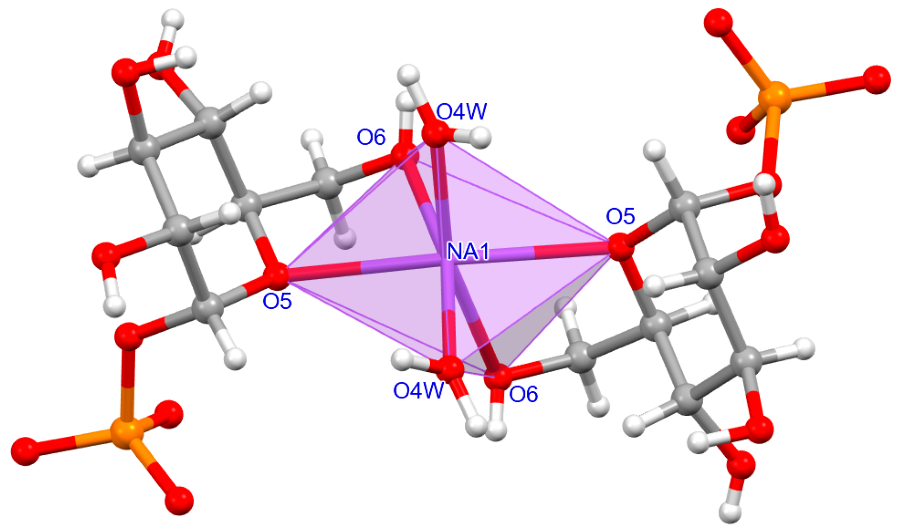 Molecules 29 02133 g006