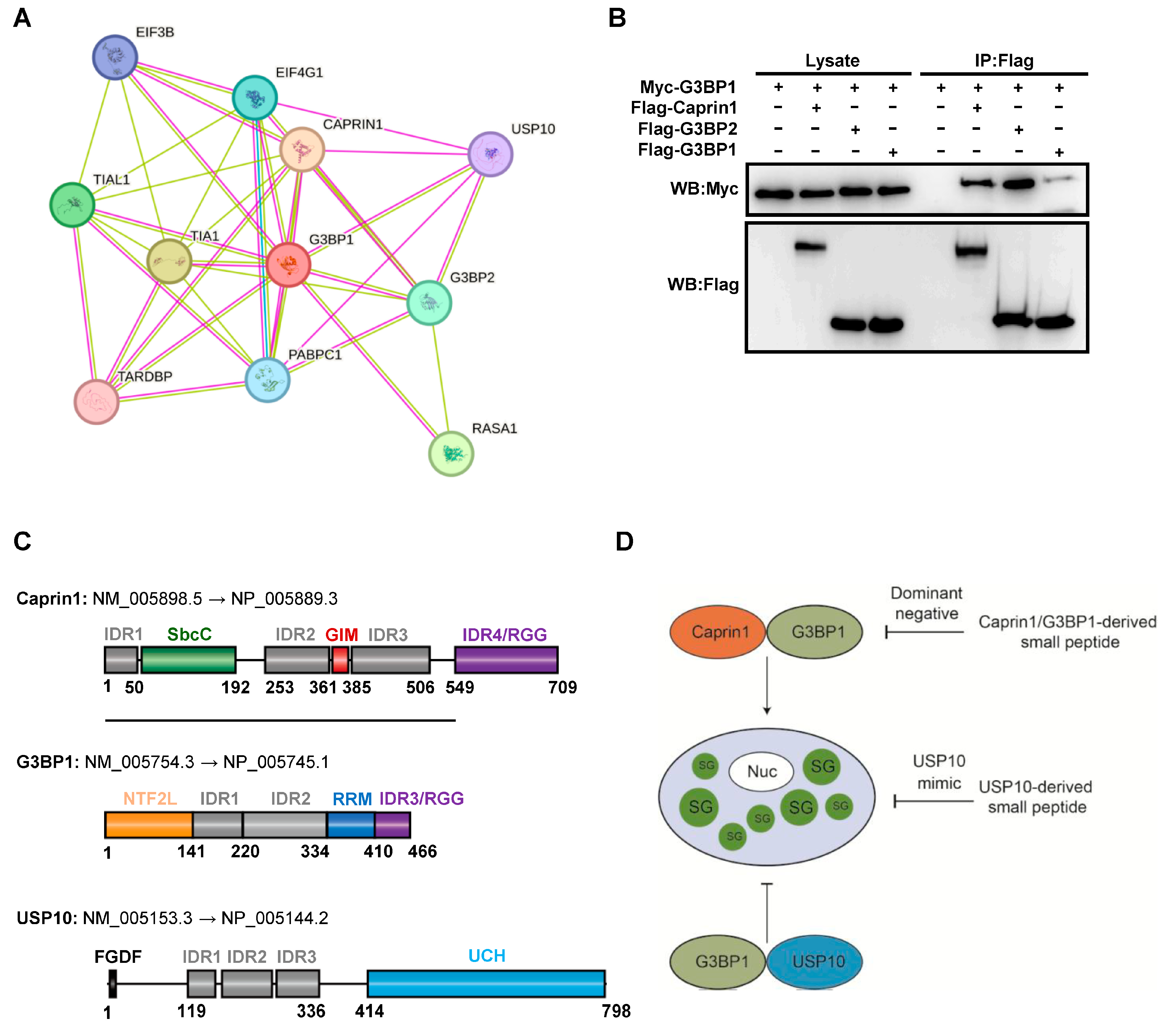 Molecules 29 02134 g001