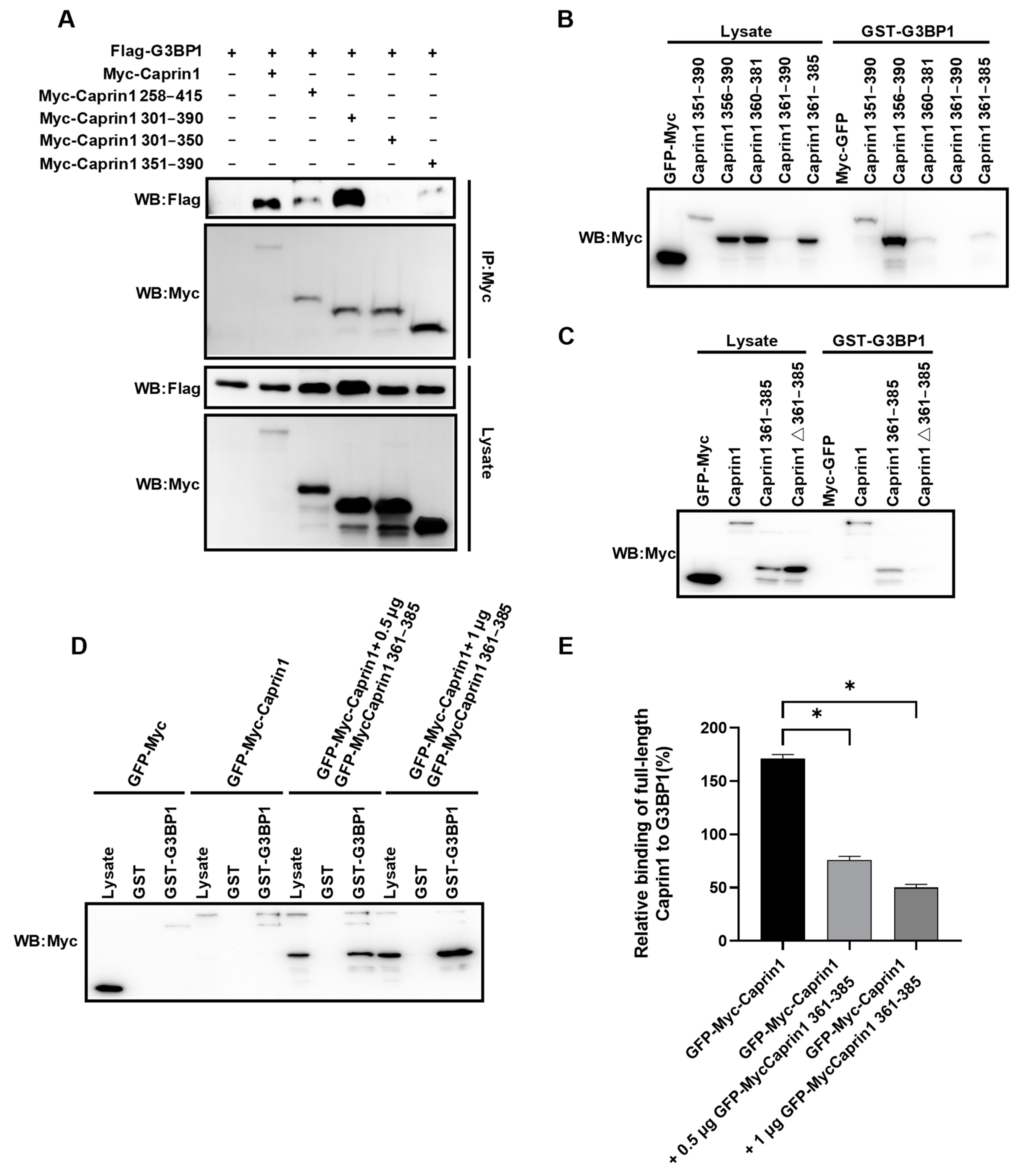 Molecules 29 02134 g002