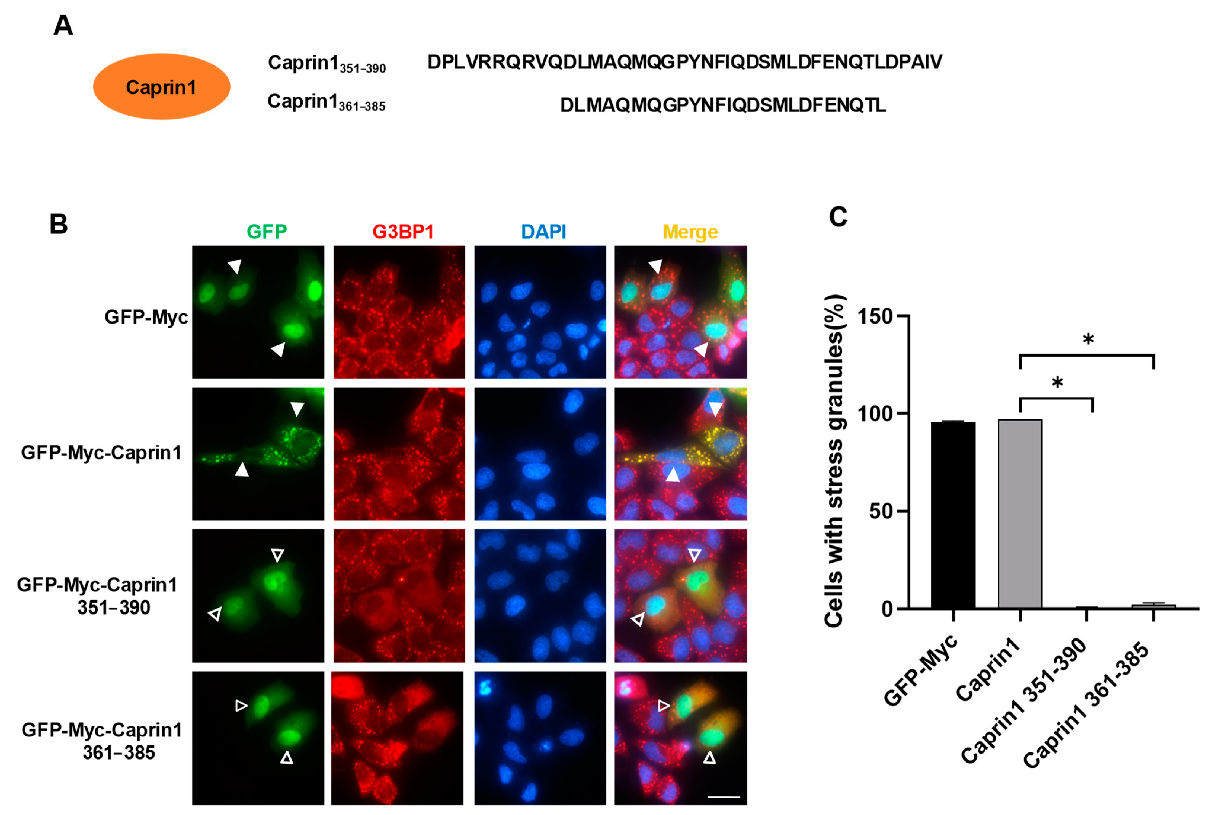Molecules 29 02134 g003