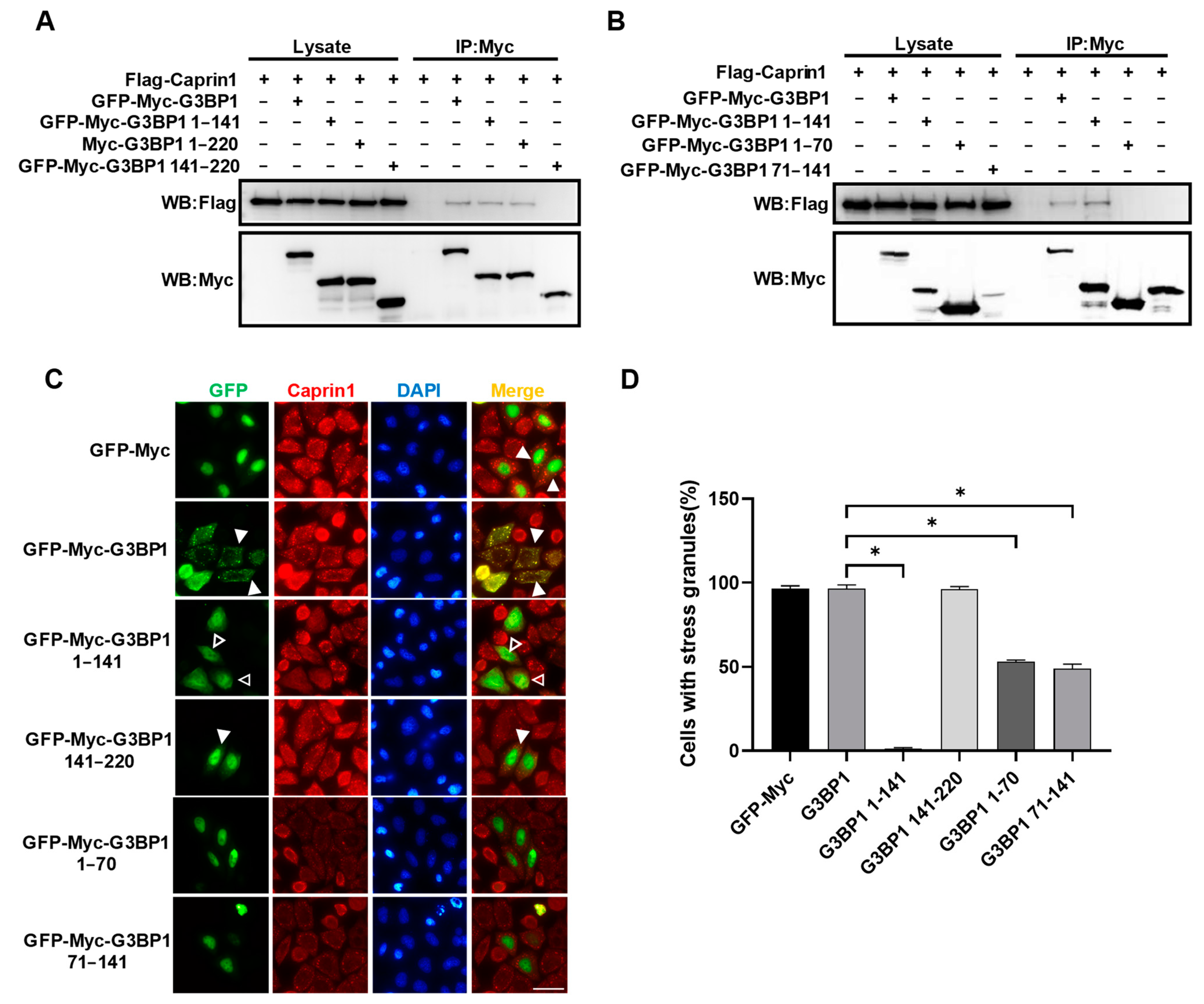 Molecules 29 02134 g004