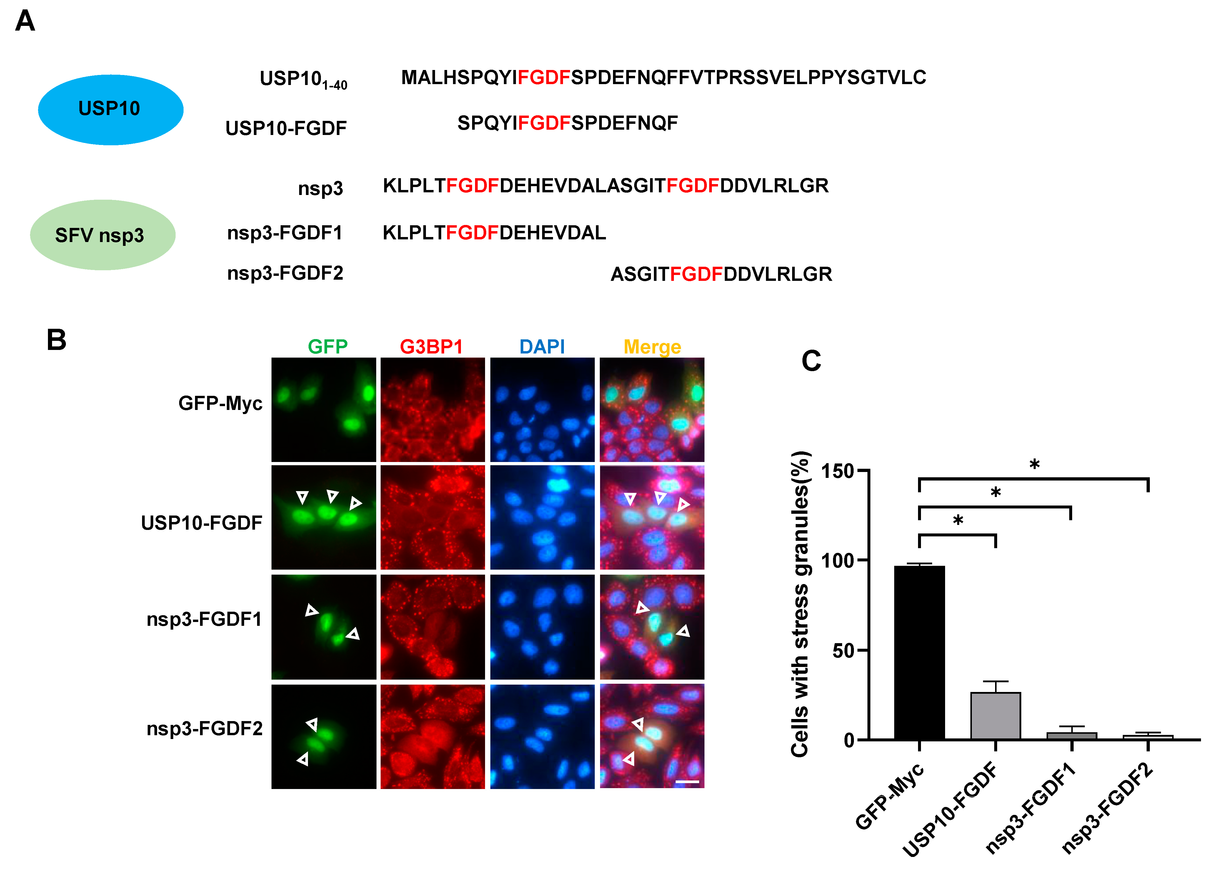 Molecules 29 02134 g005