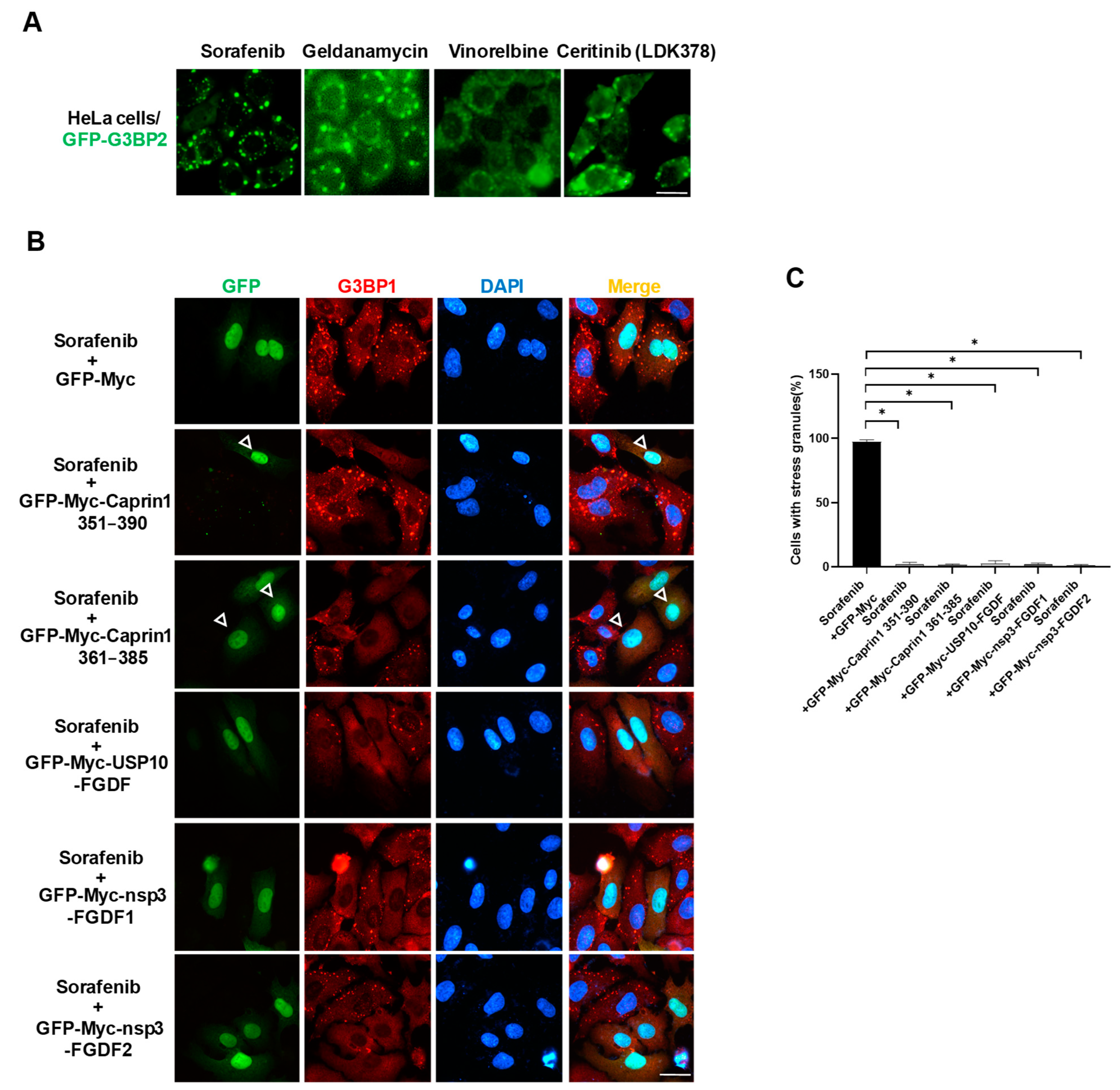 Molecules 29 02134 g006